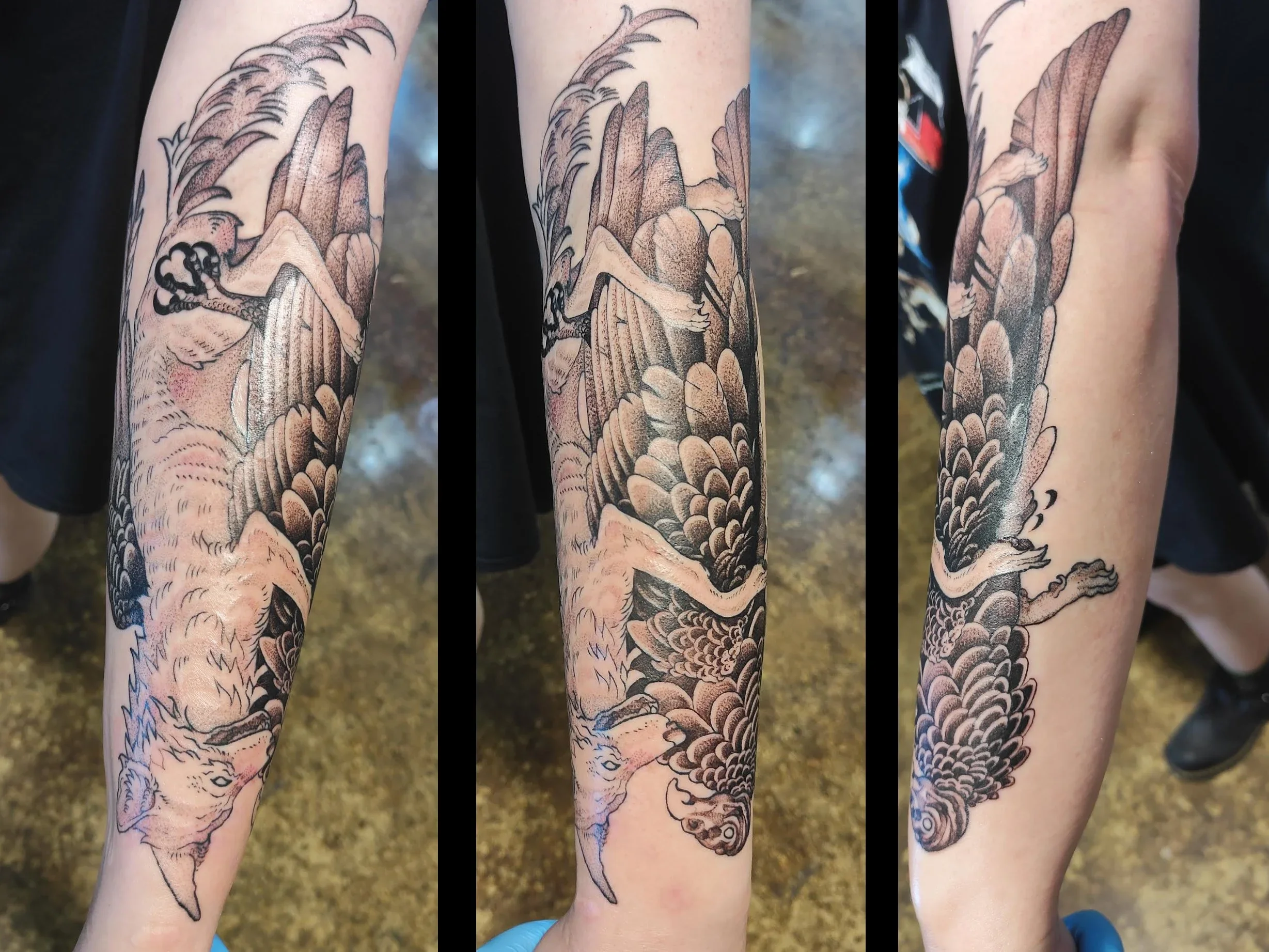 coyotevulturetriptych.webp