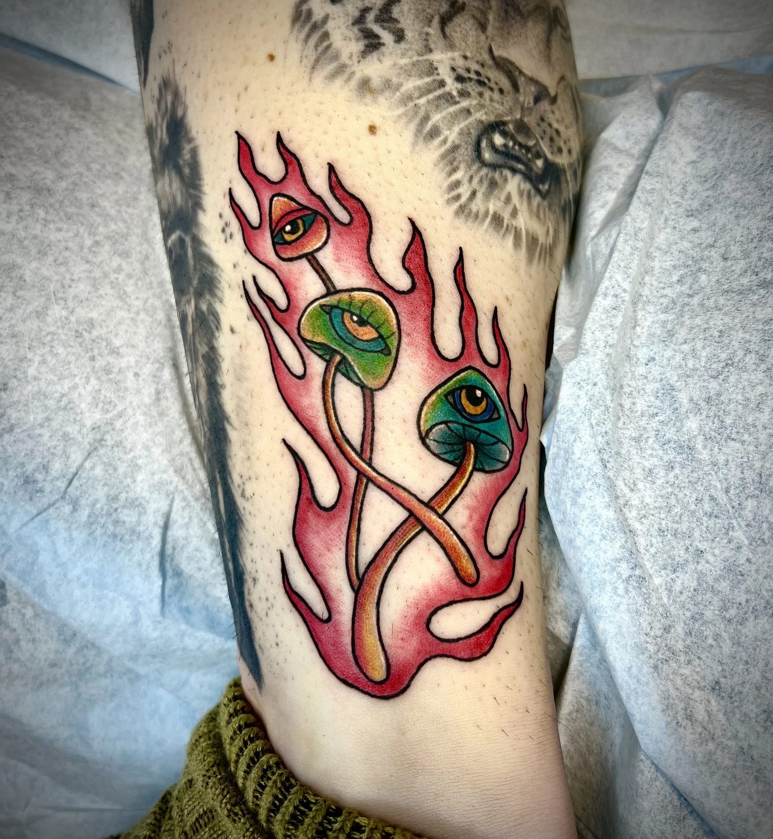 Mushroom+flames+.webp