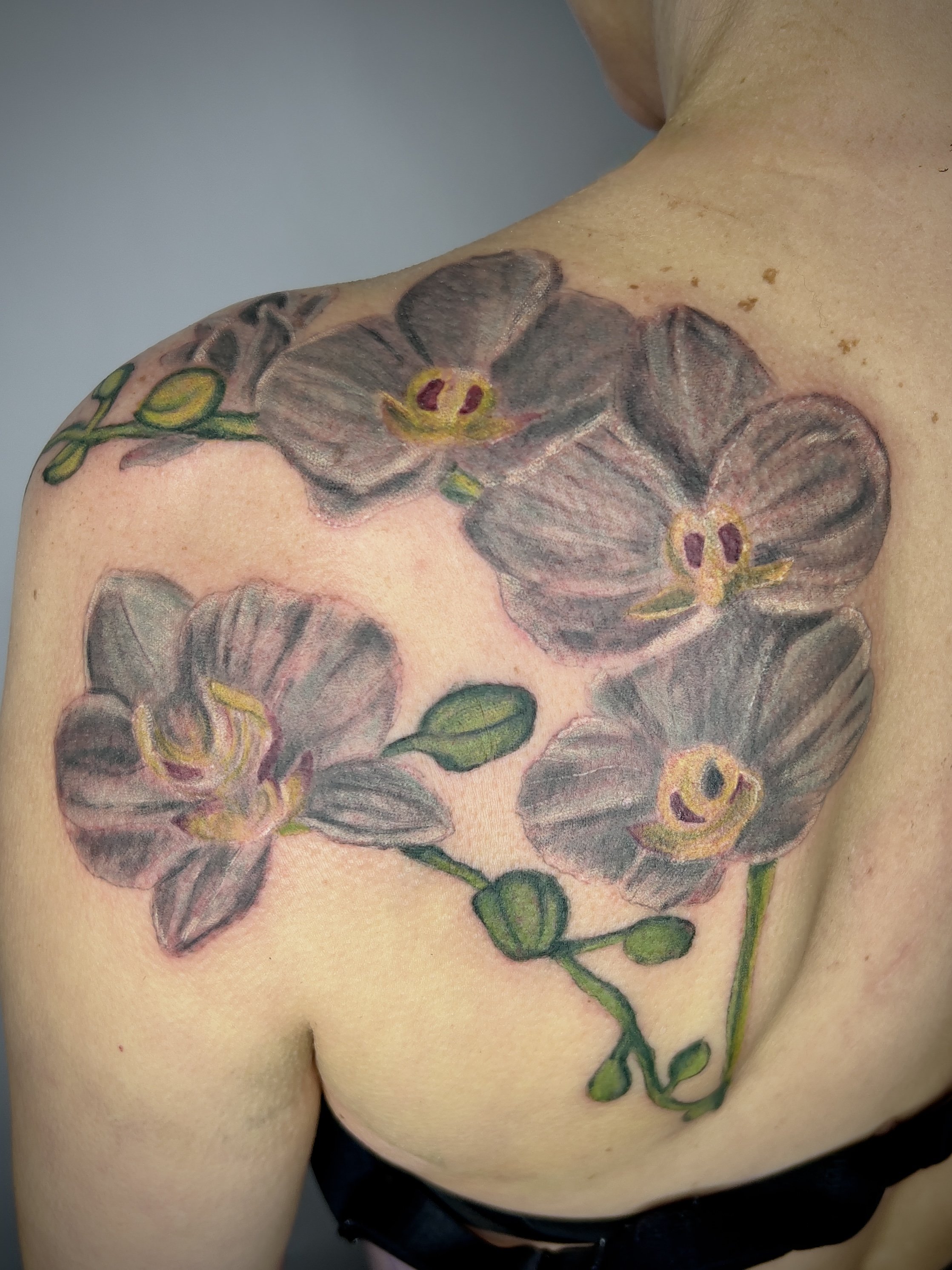 oil painting orchid.jpg