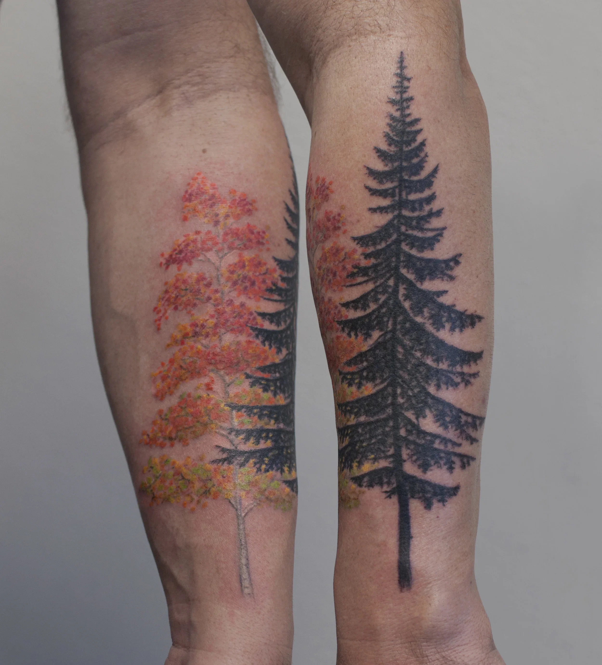 george_forearmtrees.webp