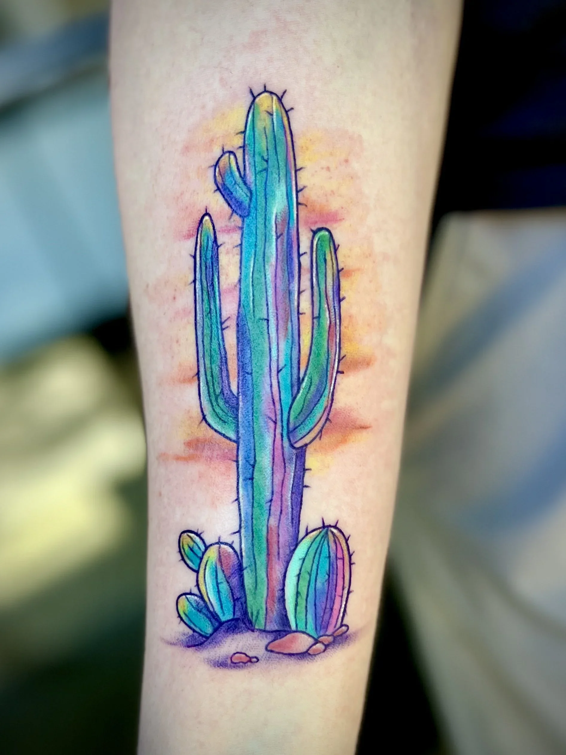Cactus+.webp