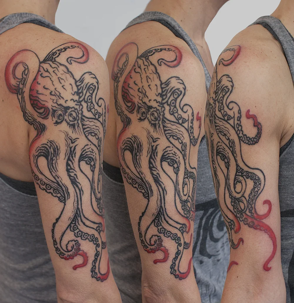 jason_bicoloroctopus.webp