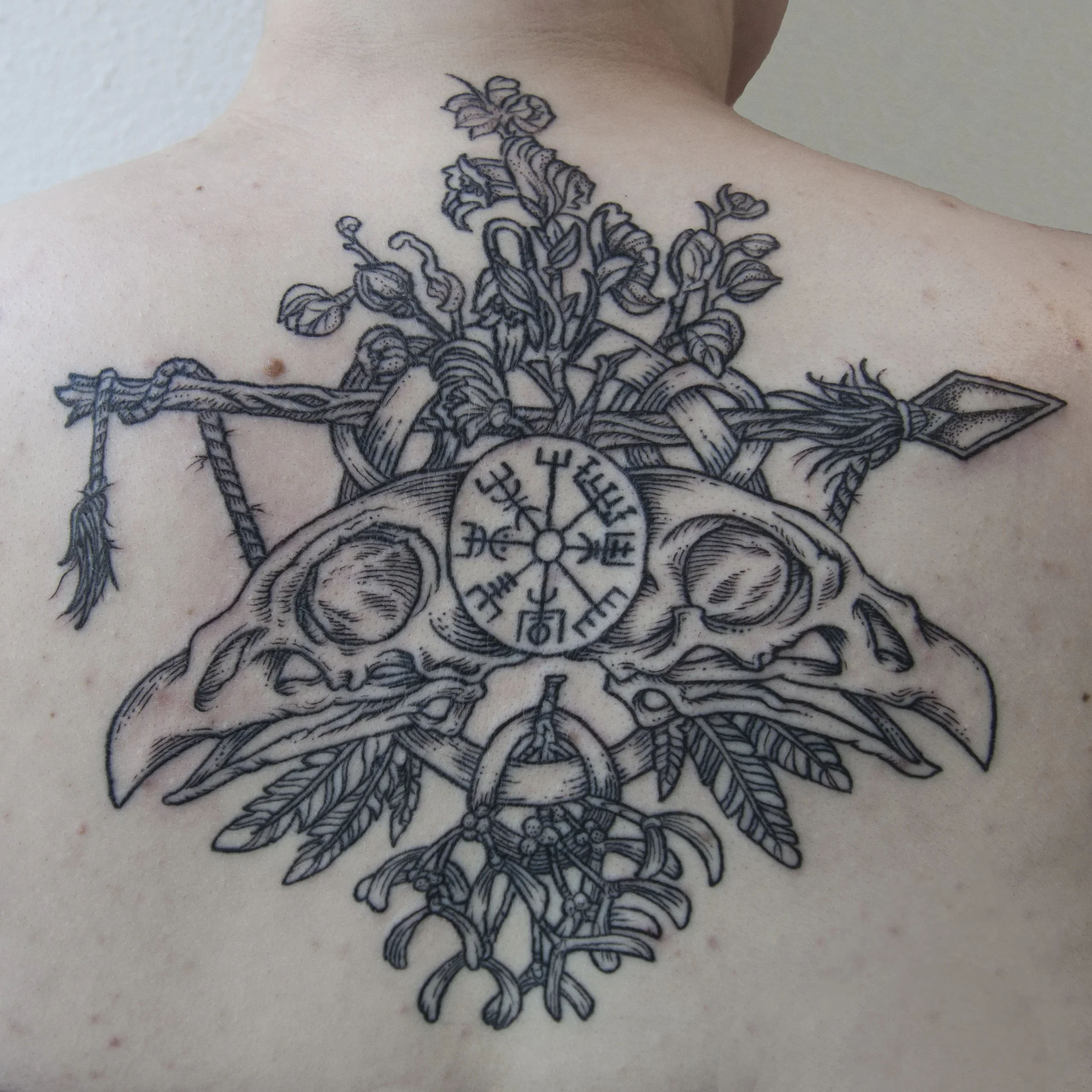 jason_birdskulls_back+copy.webp
