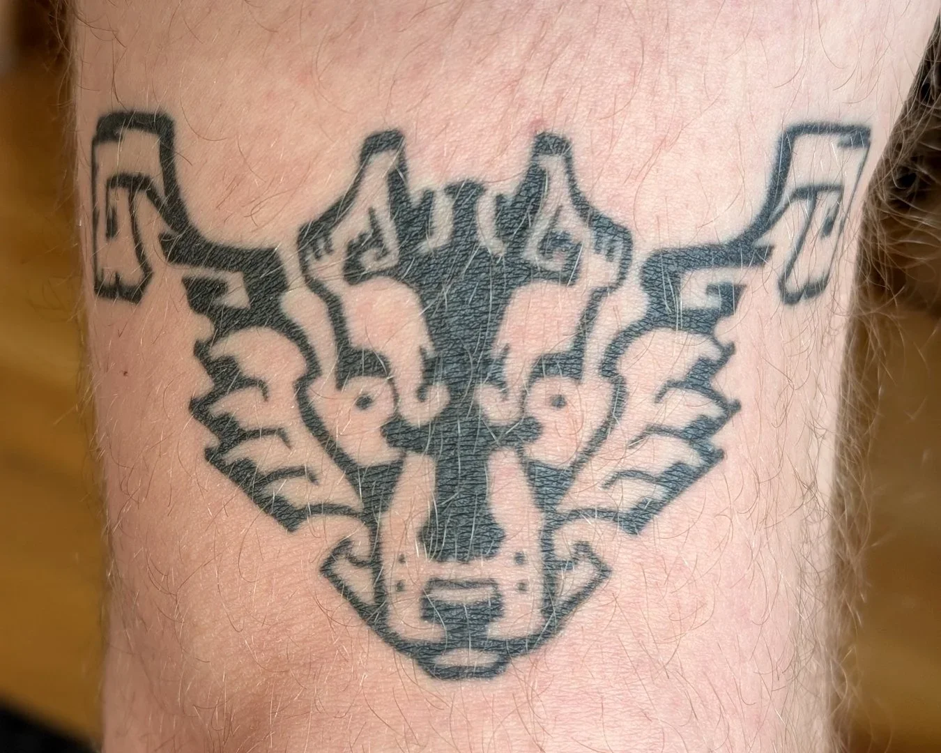 EricP__self_WolfChevron.webp