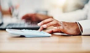 Professional ($400-$549/Monthly)