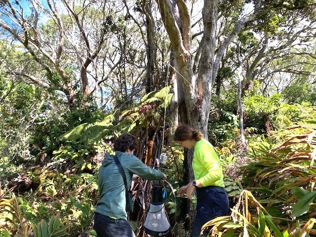Mosquito Trap Monitoring