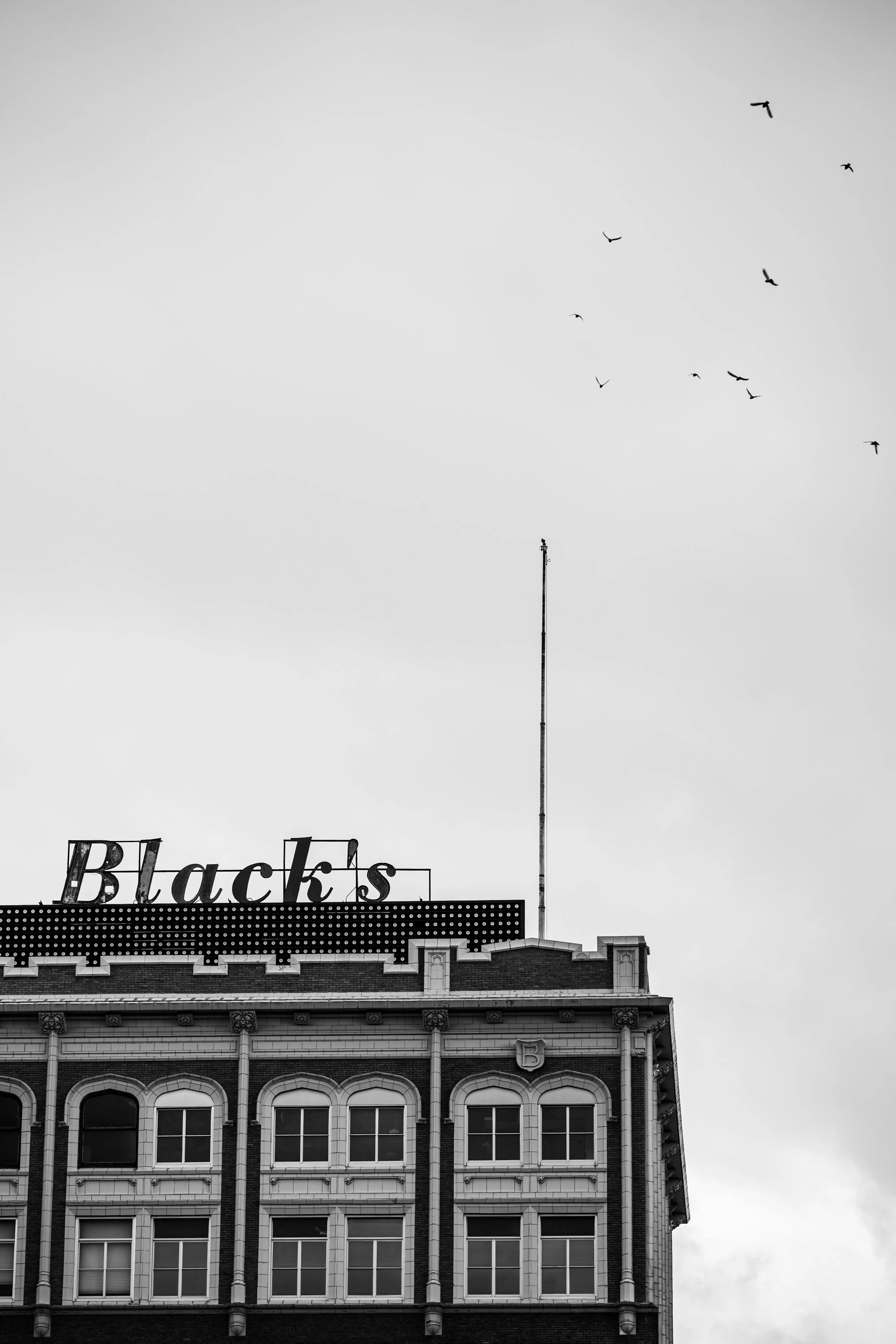Black's