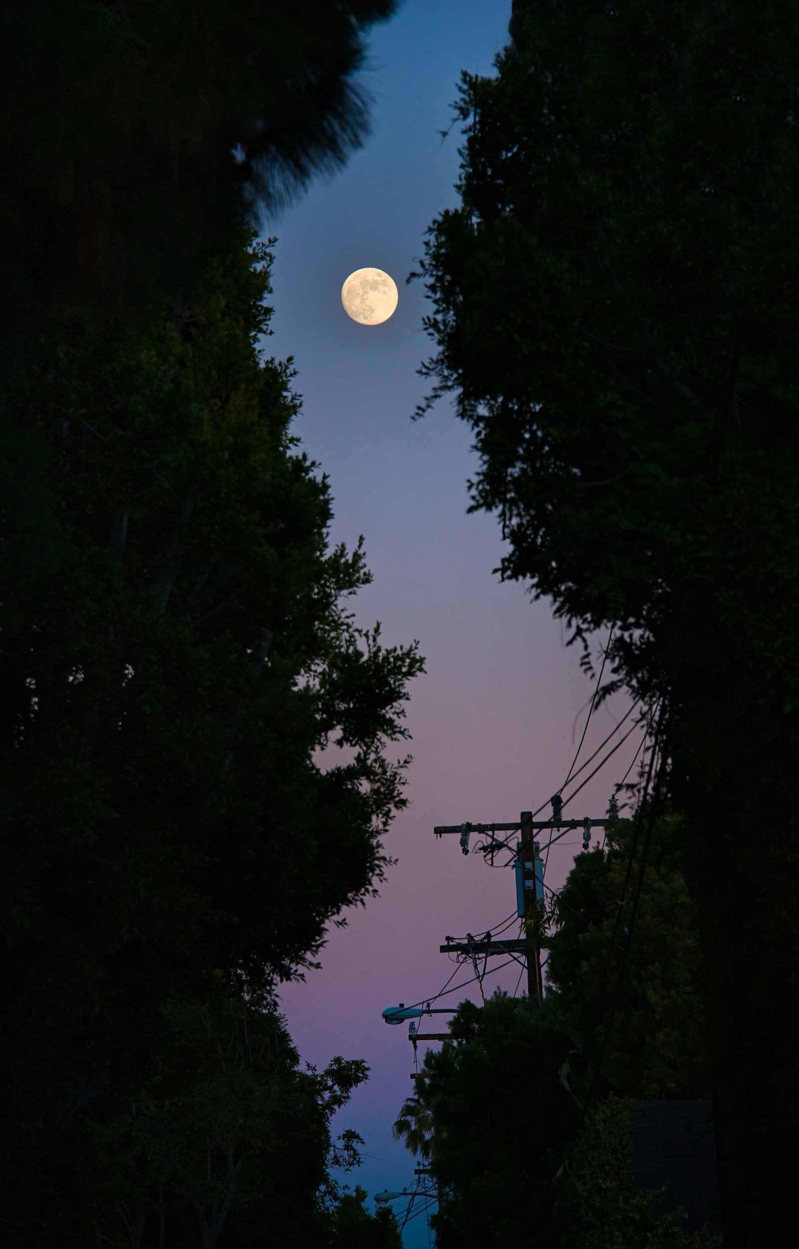 Why Does The Moon Follow Us?