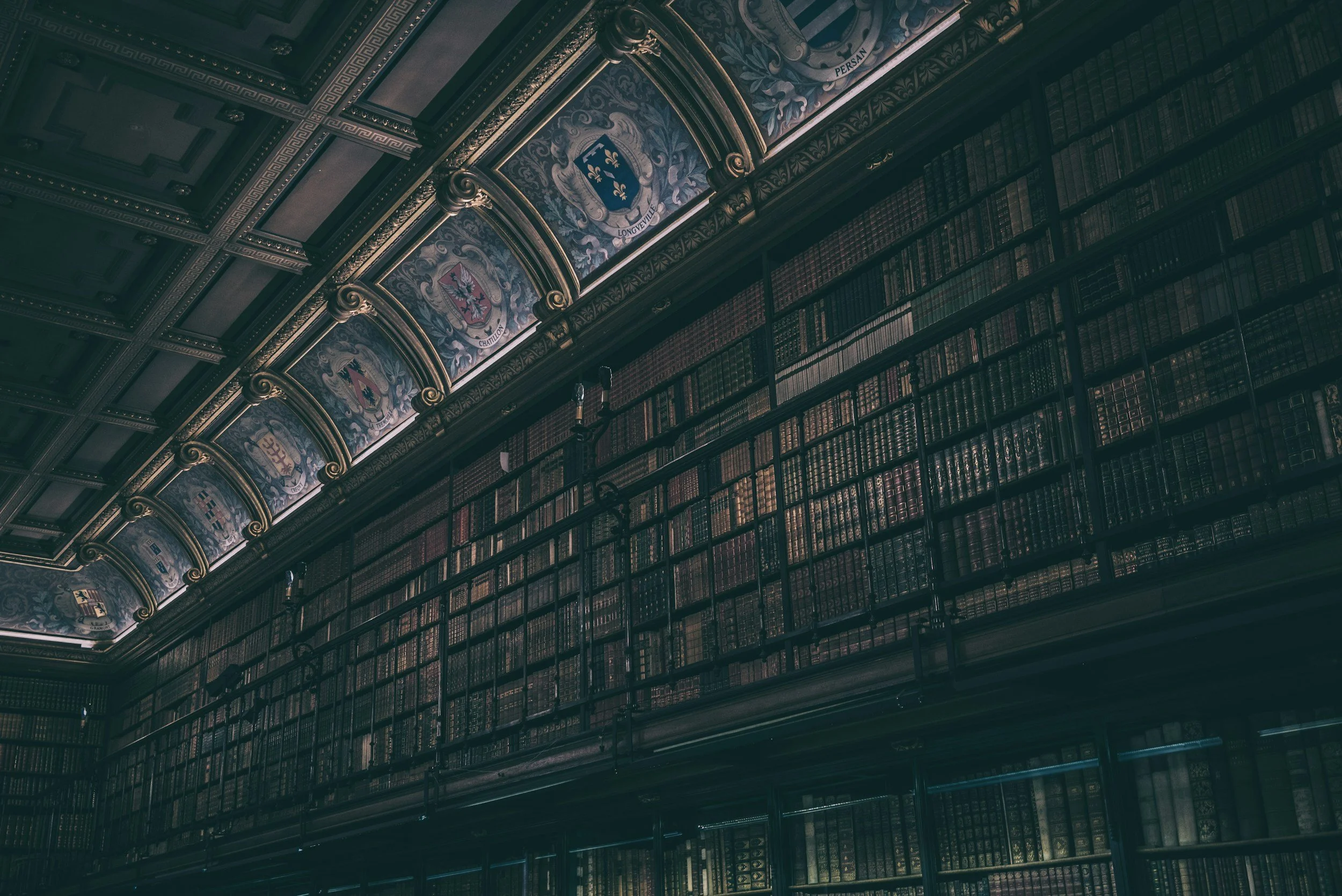 The Quiet, Life-Changing Magic of Libraries