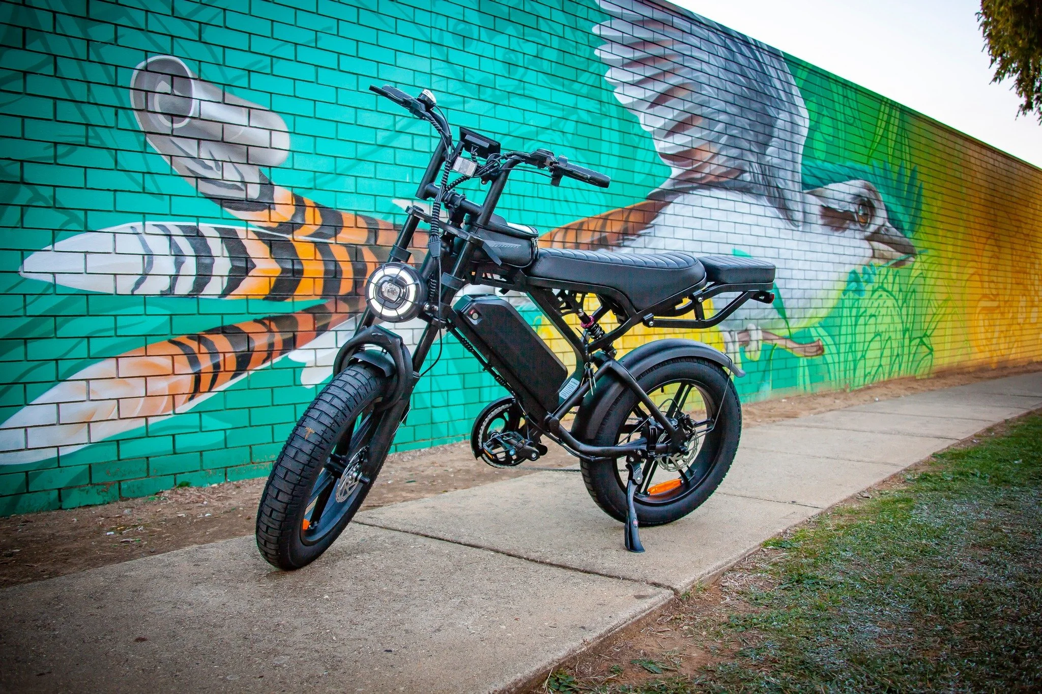 Ran into one of our V20 Pro 'Crow' Ebikes today at the Tolland shops. She was looking really good and still on 80% battery after three days use. What a great way to get around town.

Before using this vehicle, check the applicable local laws relating
