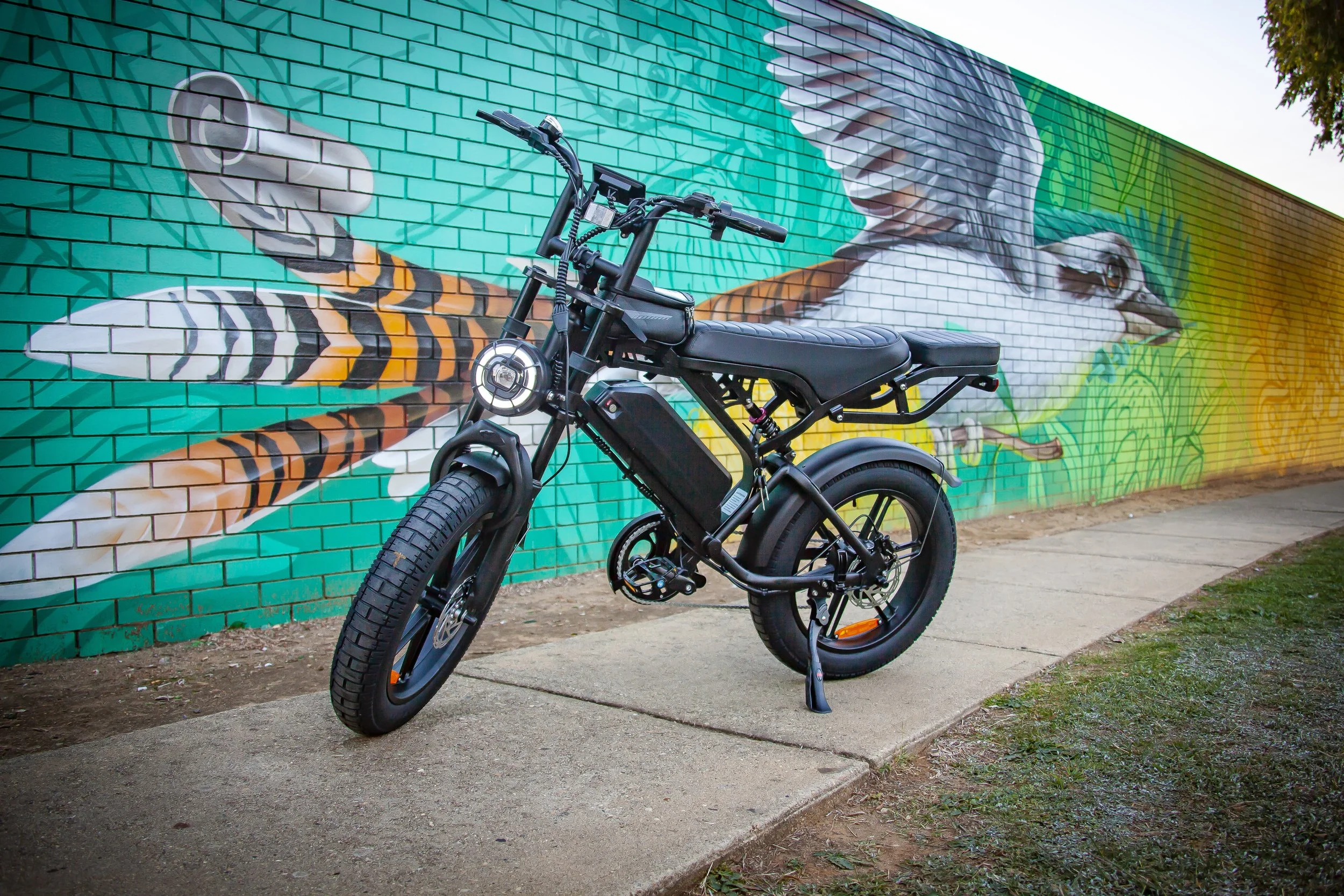 V20 Pro E-bike