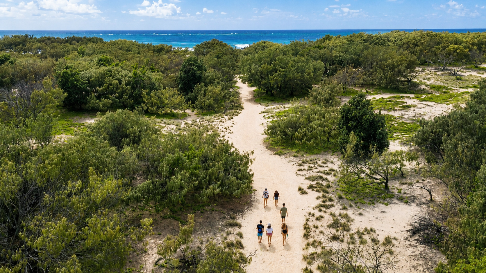 Aerial view of a sandy trail leading through green dunes and shrubs to the beach with blue ocean and sky in the background, with six people walking along the trail.