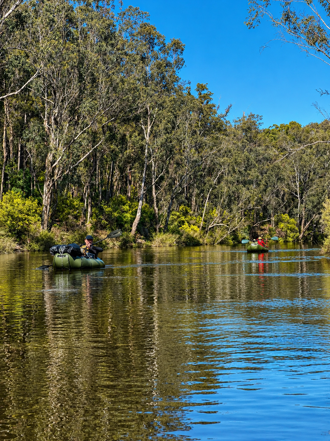 Two people in kayaks paddling along a calm river surrounded by lush green trees under a bright blue sky.