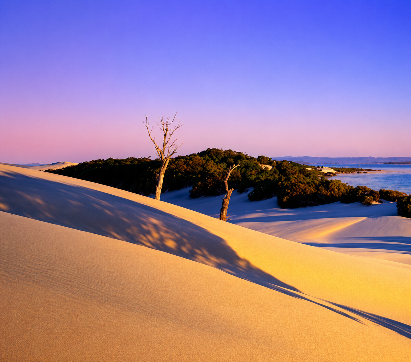 Desert landscape with sand dunes, two leafless trees, and a distant body of water under a colorful sky at sunset.