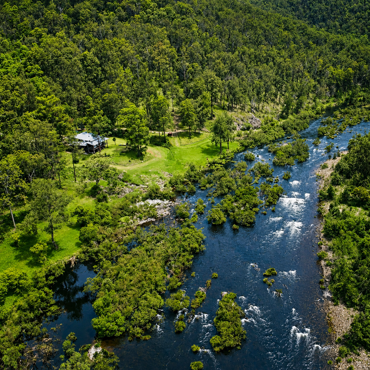 Aerial view of a lush green forest with a river running through it and a house surrounded by trees near the water.