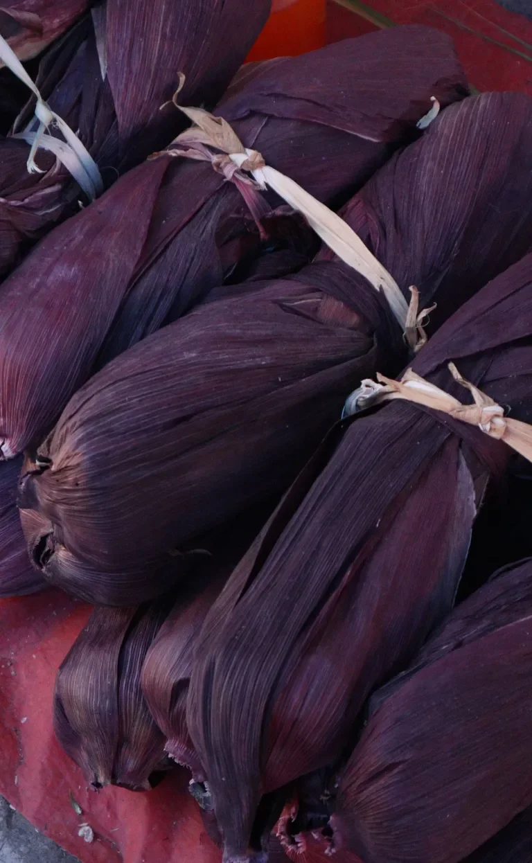 Several bundles of dried corn husks tied with string, laid out on a surface.