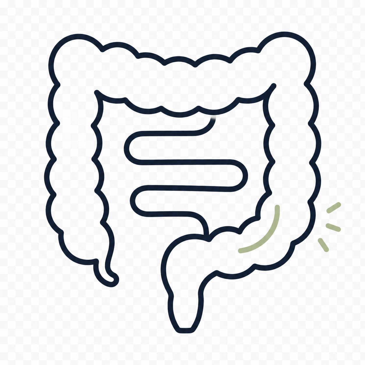 Illustration of a human large intestine, with a highlighted area near the lower right side indicating pain or discomfort.