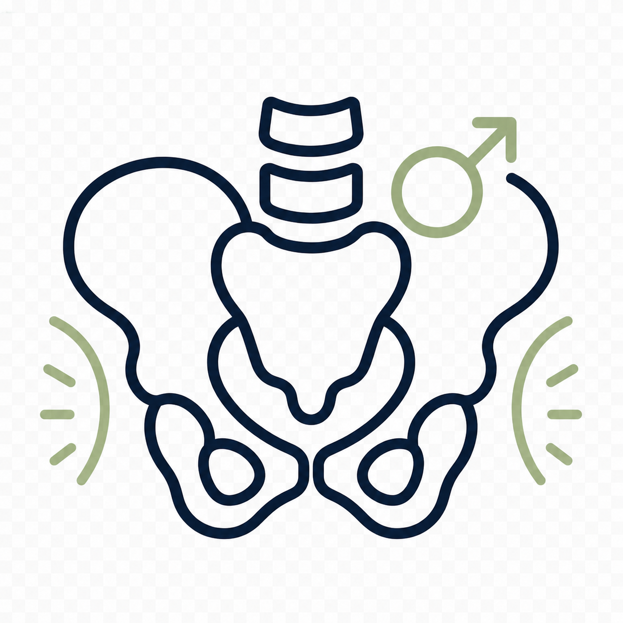 Line drawing of a human pelvis with a section of the spine, an added gender symbol indicating male, and curved lines suggesting health or wellness.