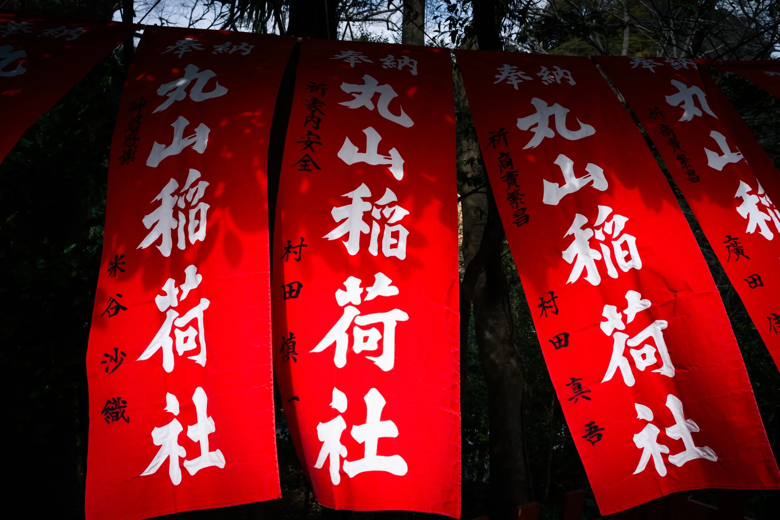 Red vertical banners with white Japanese kanji characters hanging from a tree, partially shadowed by foliage.