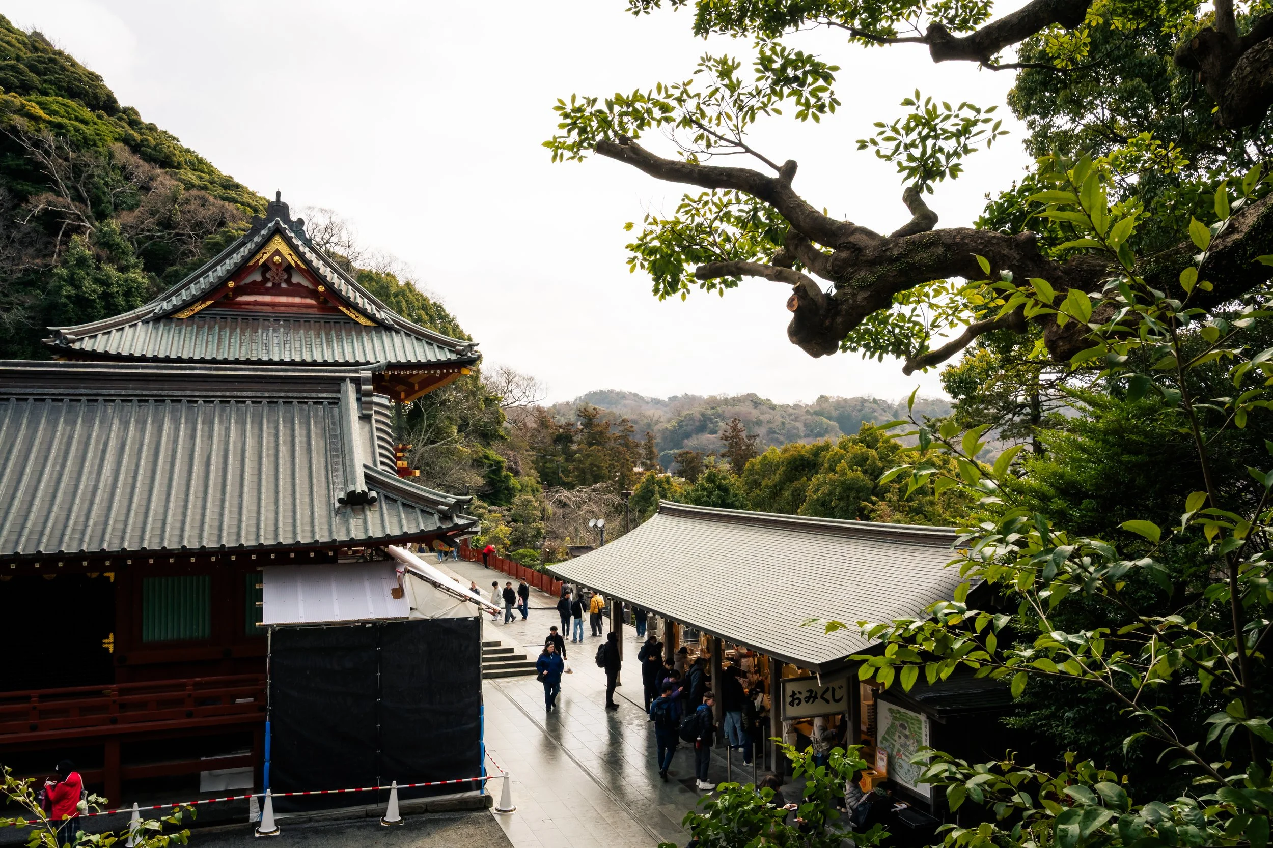 People walking on a pathway outside a traditional Japanese temple with a tiled roof, surrounded by green trees and hillside in the background.