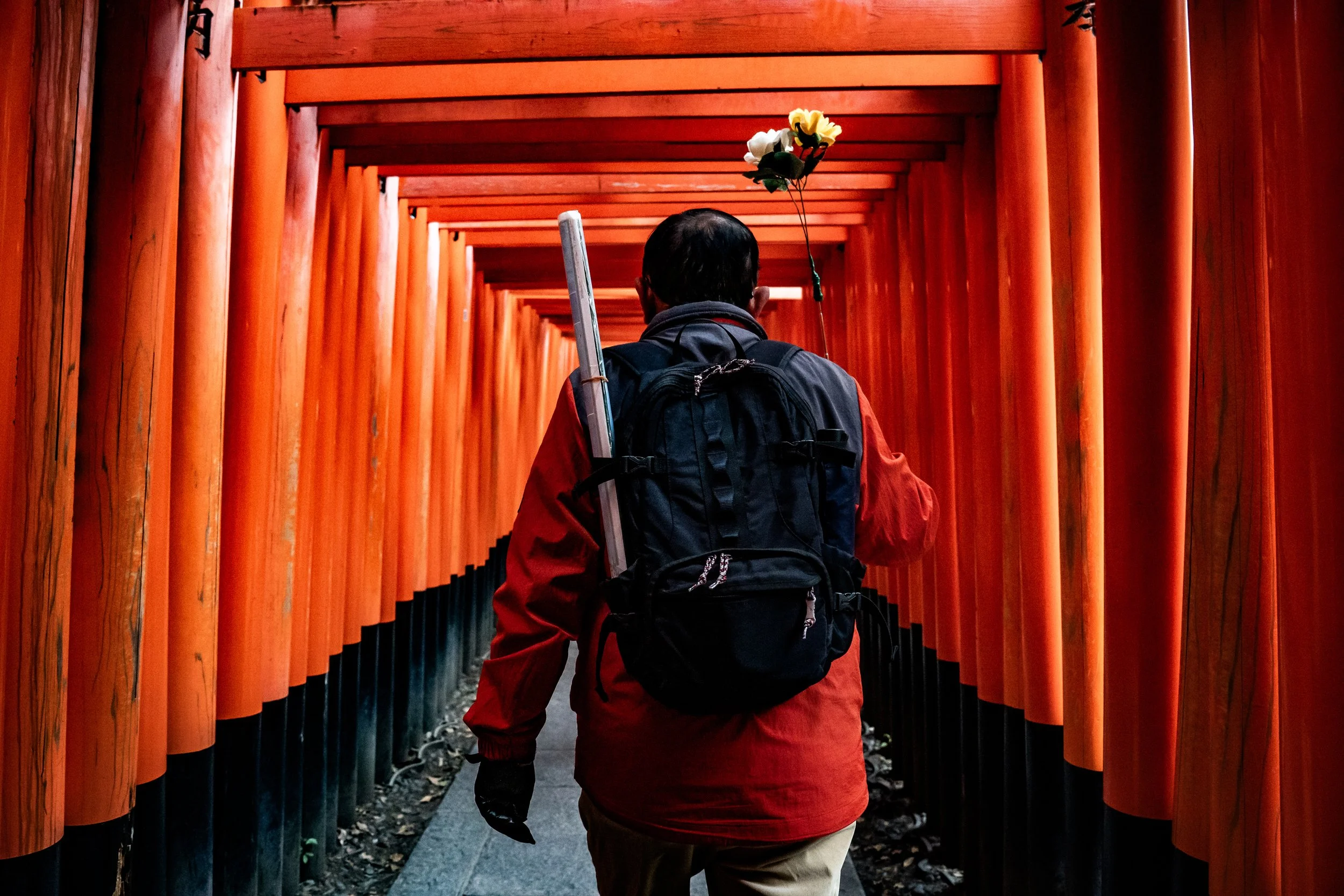 A person with a dark backpack and a bouquet of flowers walking through a pathway lined with bright orange torii gates.