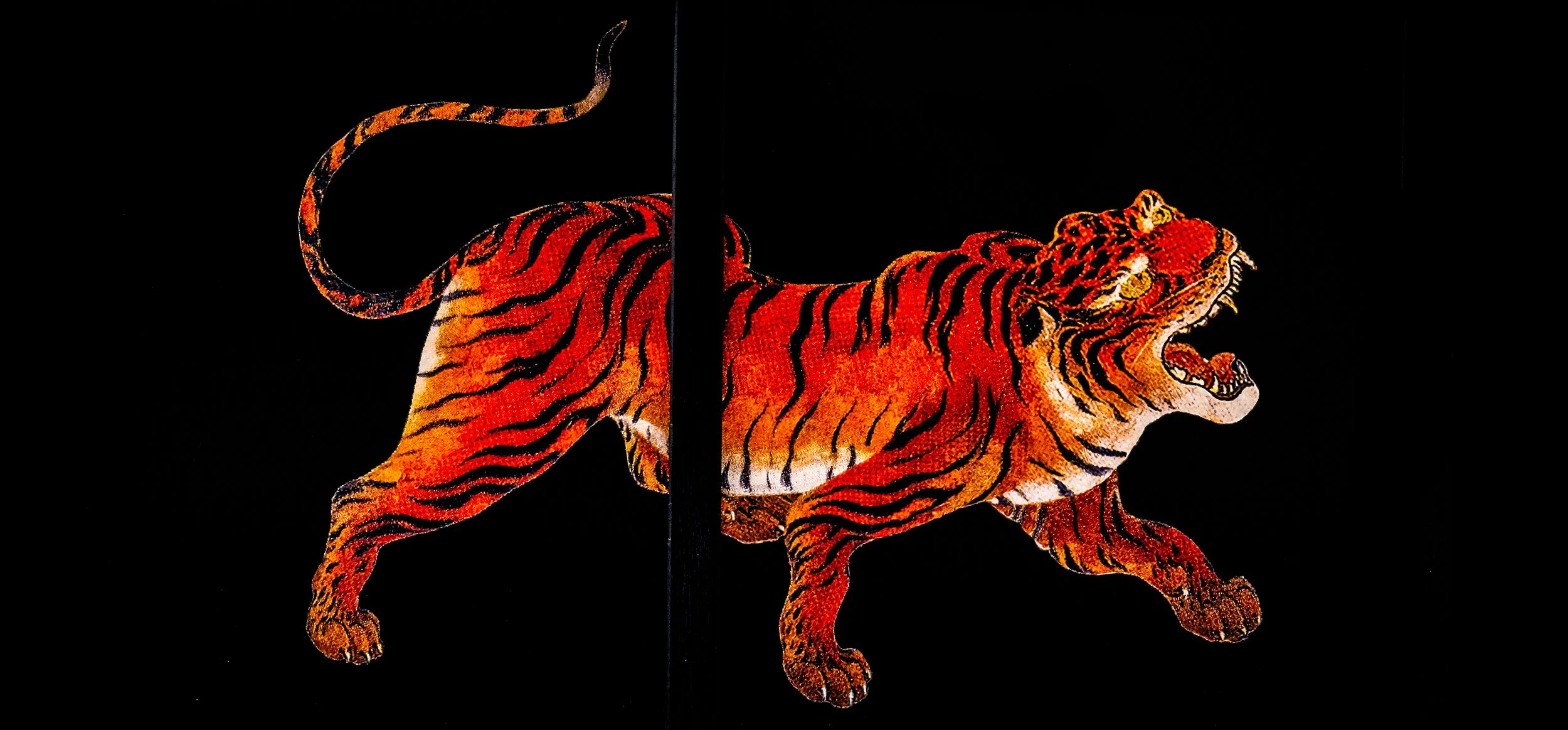 A display of a tiger illuminated with orange and black stripes on a black background.
