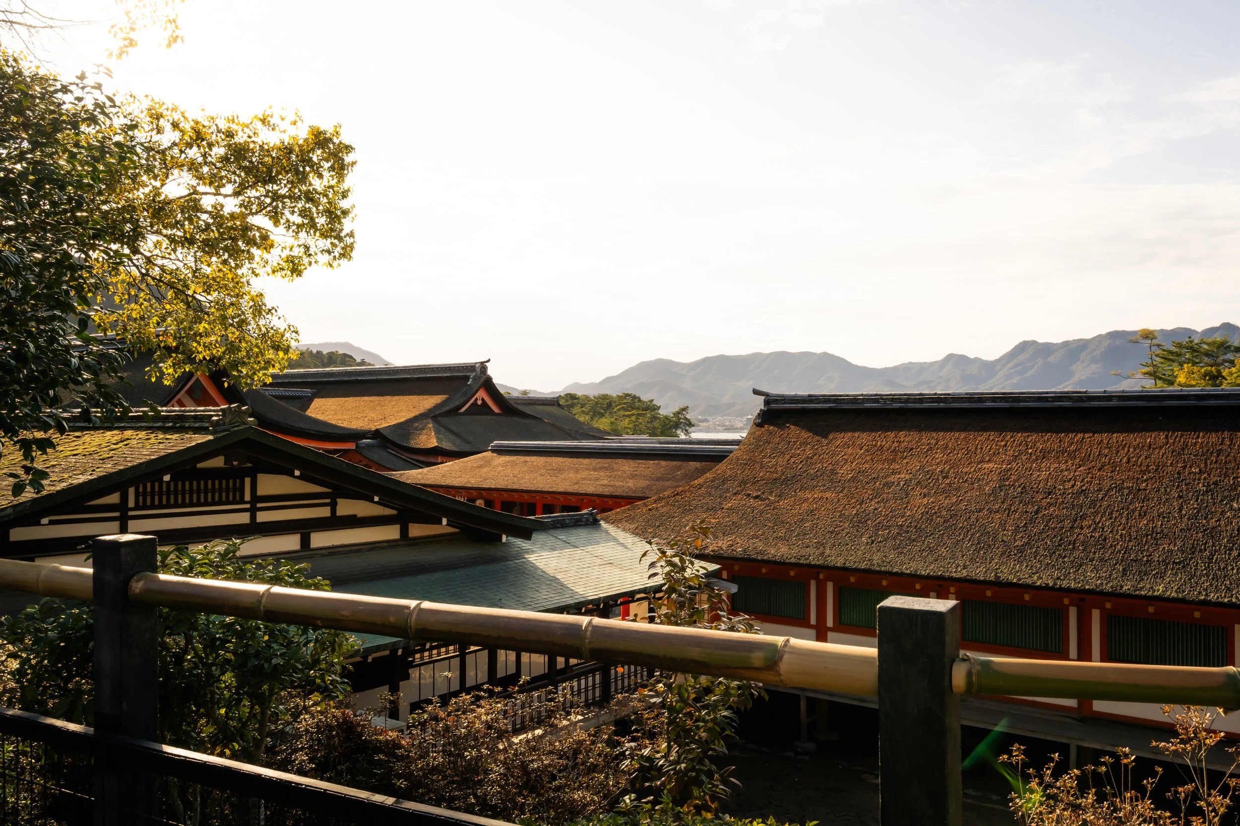 Traditional Japanese buildings with tiled roofs in a mountainous area, surrounded by trees with sunlight in the background.