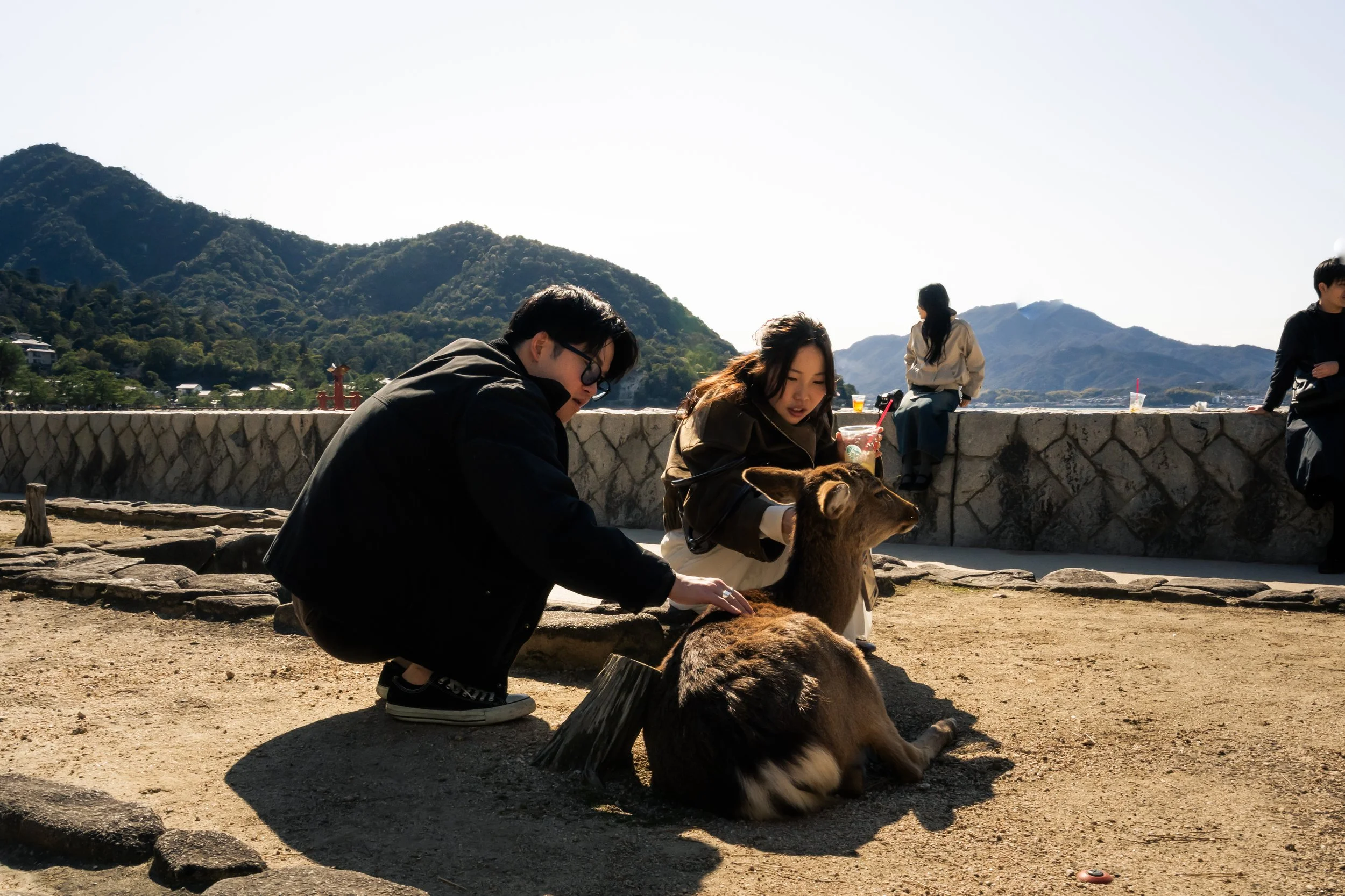 People sitting outdoors near mountains, some petting a resting dog, with drinks on a stone wall, and a person sitting alone in the background.