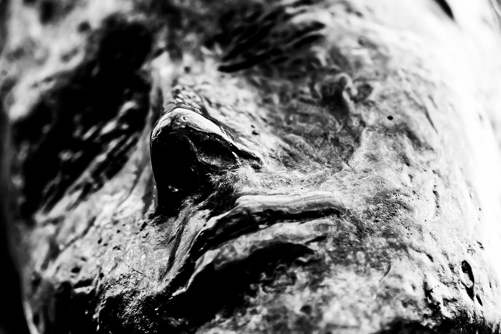 Close-up of a black and white sculpture of an animal's face, possibly a bear or a wolf, with textured fur and detailed features.