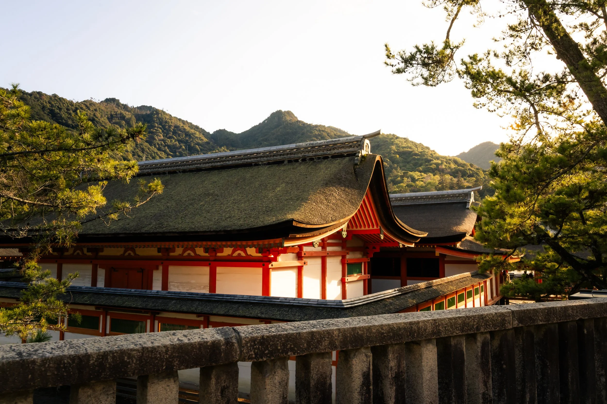 Traditional Japanese shrine with curved roof edges, surrounded by trees and mountain hills in the background, taken during sunset.