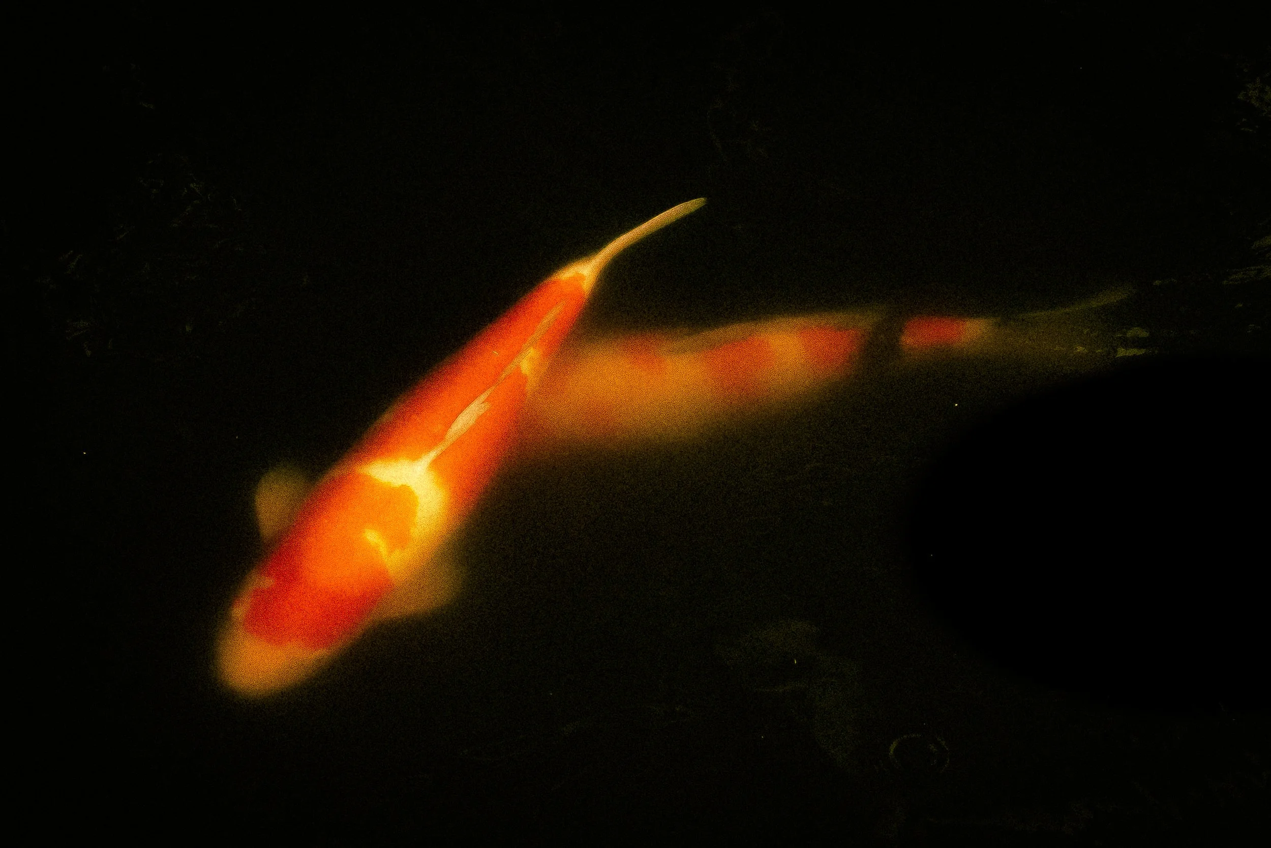 A lit candle with a burning flame on a dark background.