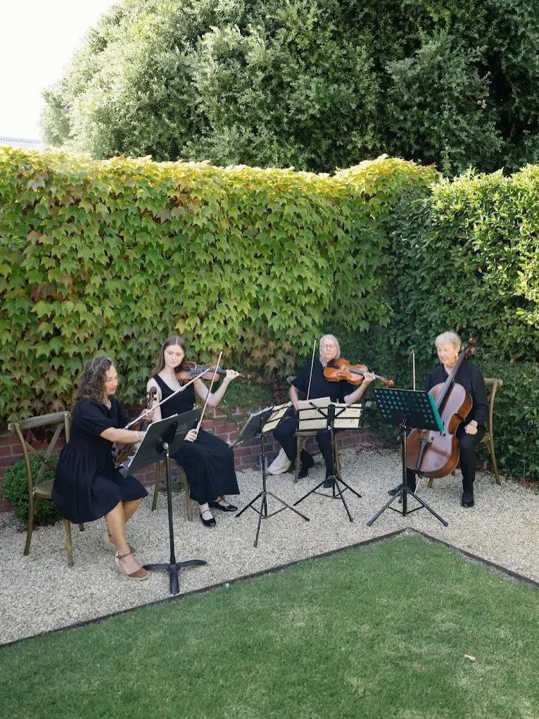 Our signature String Quartet is our most requested wedding ensemble, creating an atmosphere of elegance, warmth and timeless romance 🤍

Brides &bull; Sam &amp; Maia 
Photography &bull; @holiiandash 
Venue &bull; @the_gardens_at_bullimah 
Wedding Coo