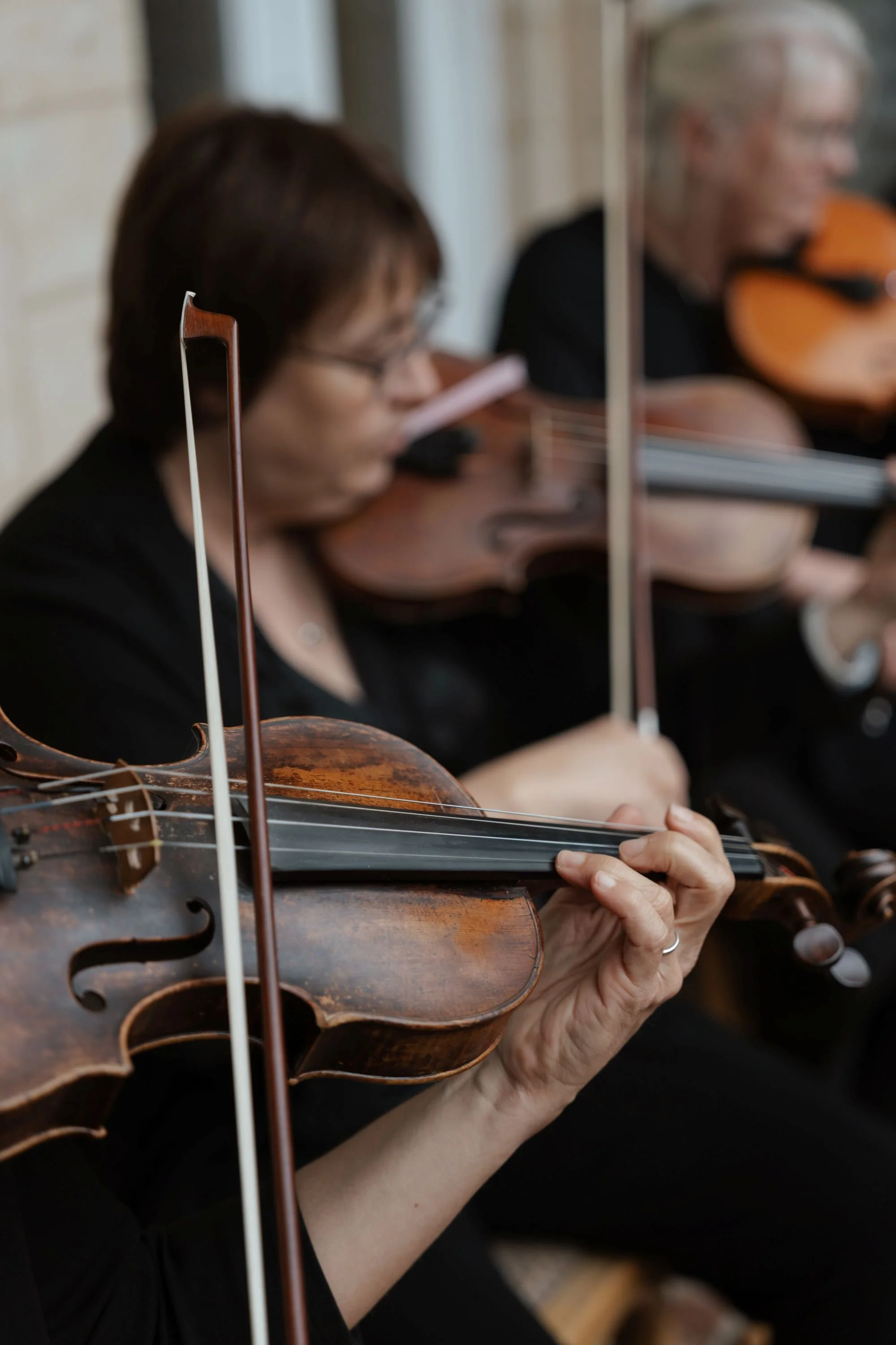 Proffesional event musicians playing classical music