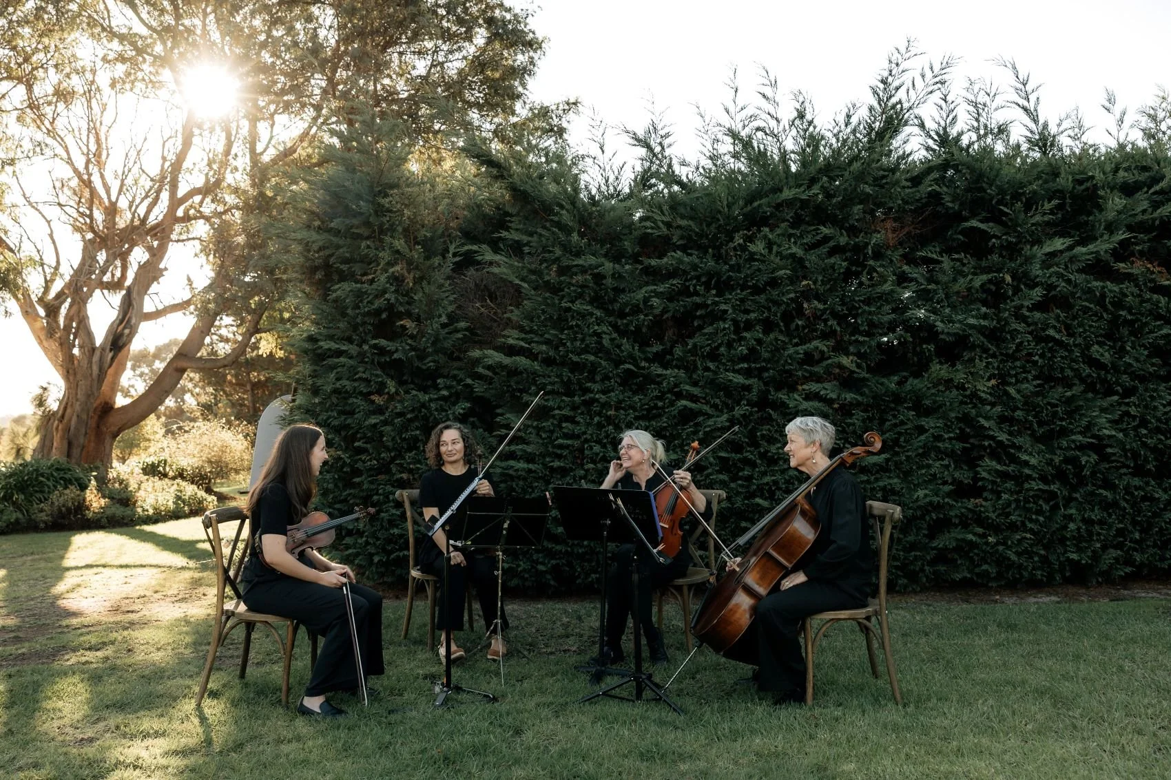 The Albany String Quartet preparing the play classical wedding music at Gardens at Bullimah