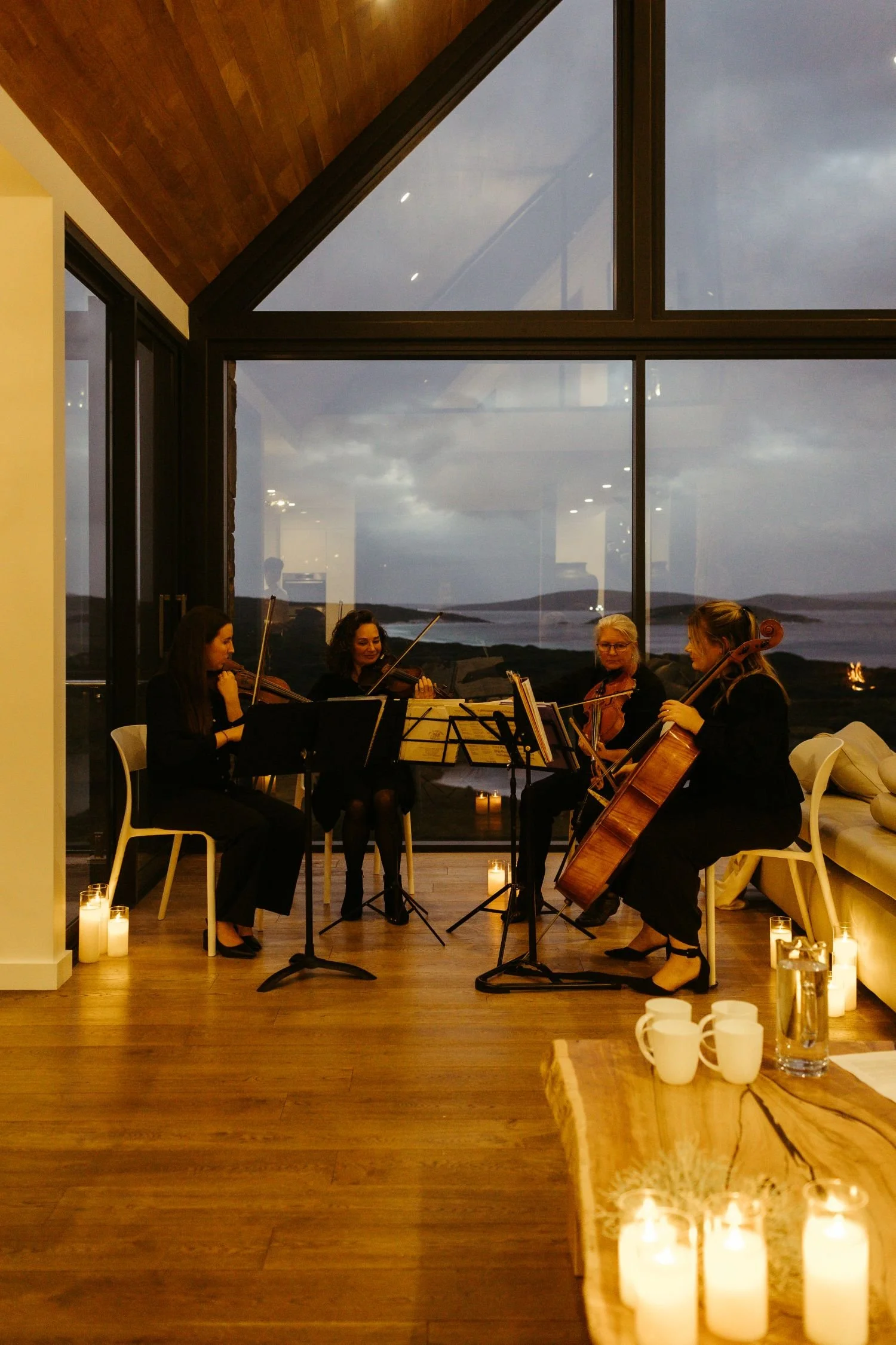 The Albany string quartet performing classical music