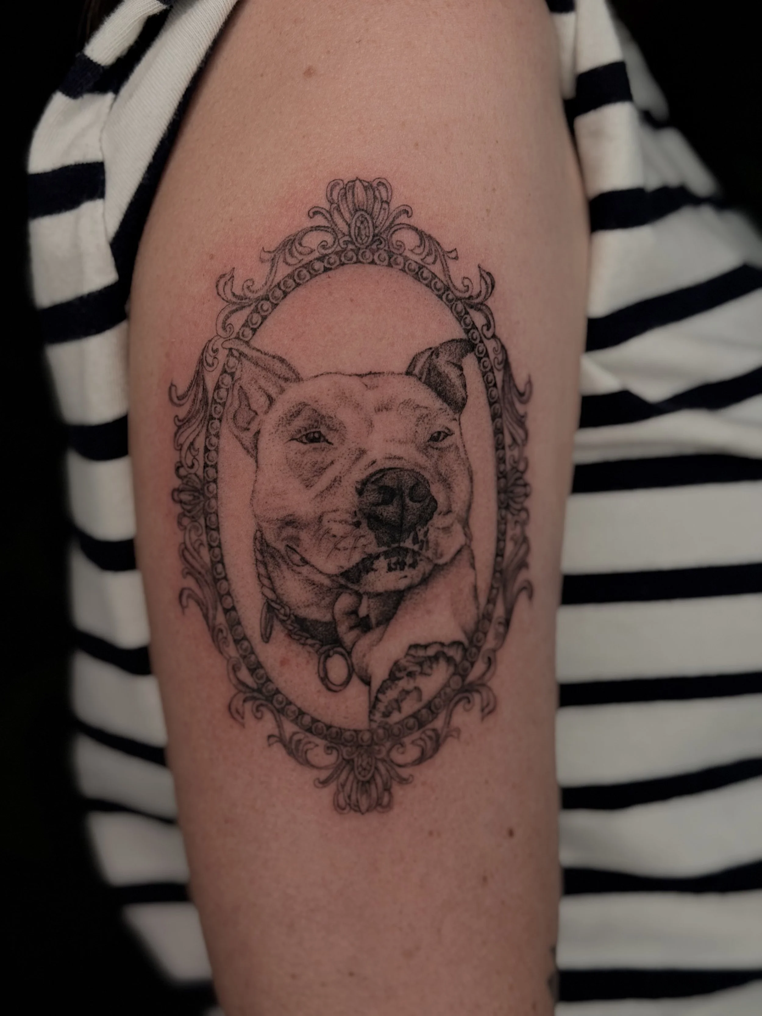 Realistic dog portrait inside of an ornamental frame.