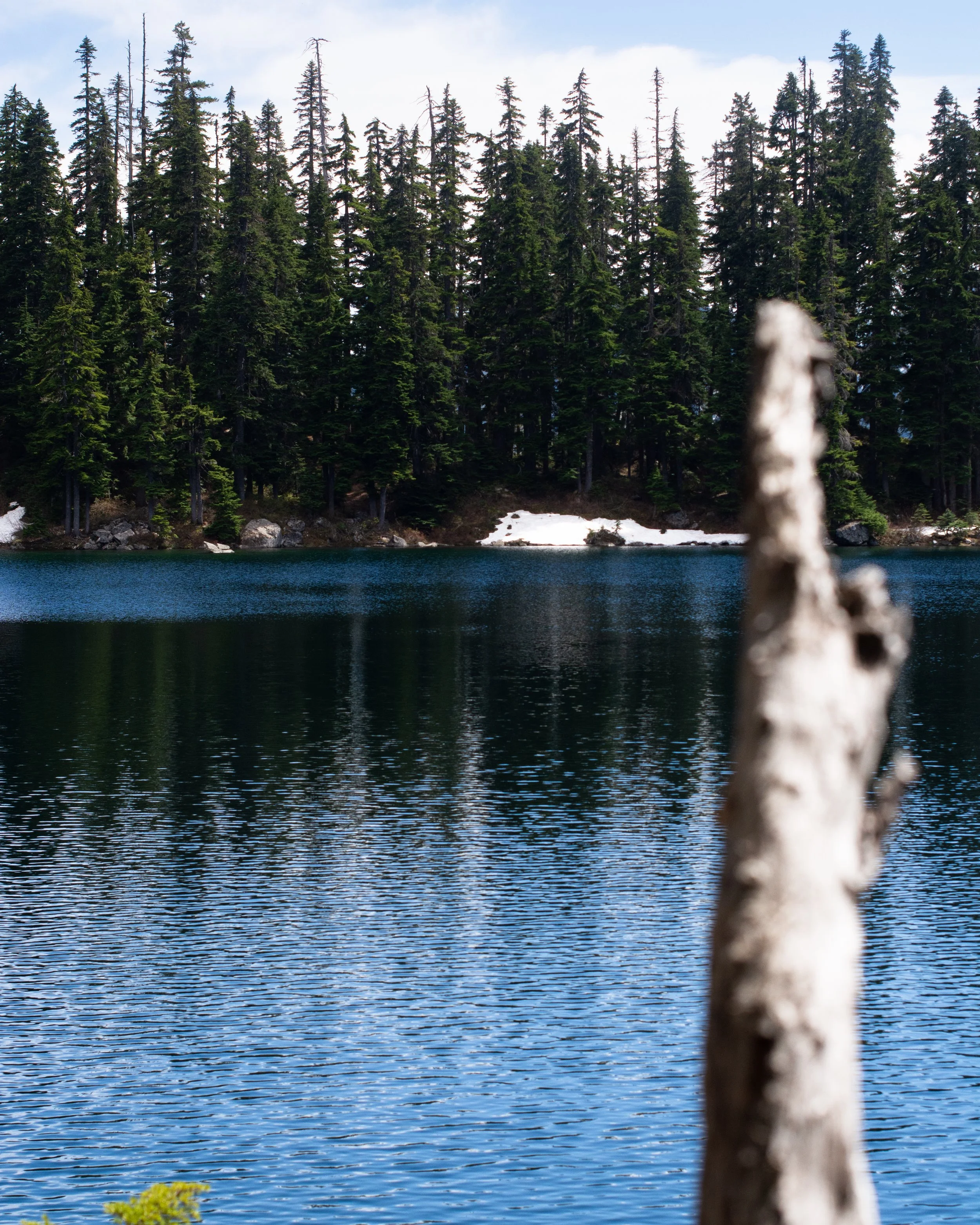 snoqualmie road walk 3.jpg