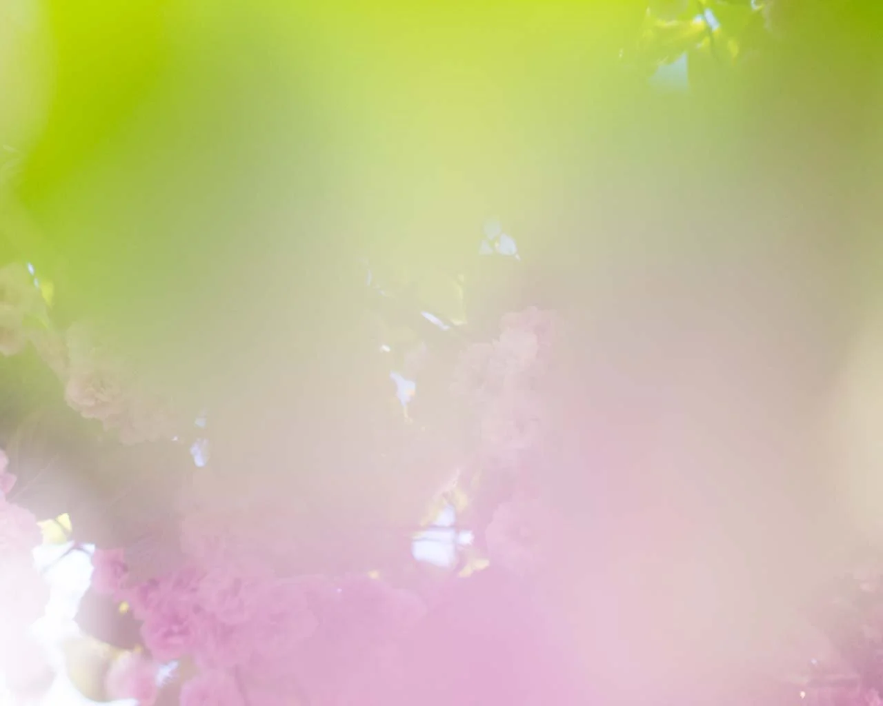 HollyPendragon_moon dog.jpg