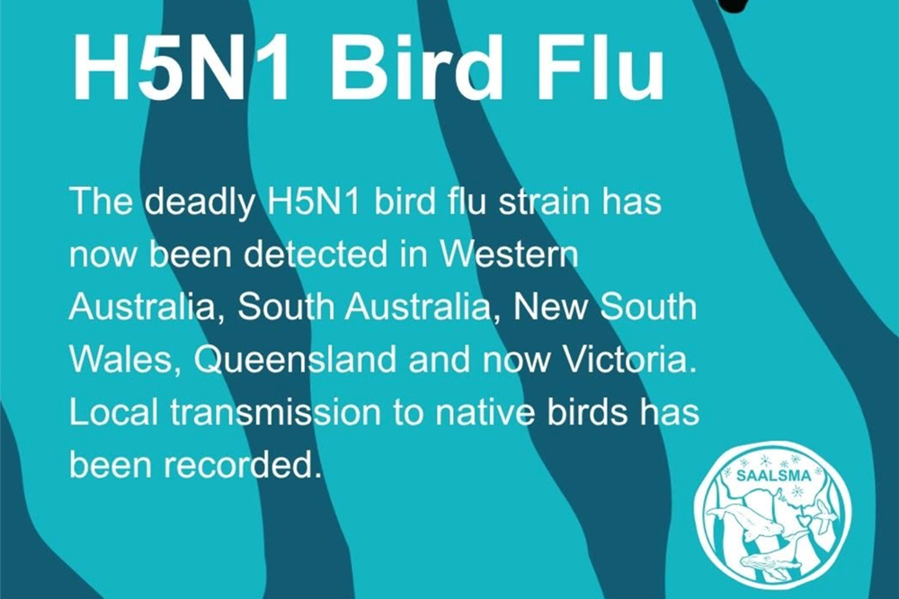 H5N1 Bird flu has now been recorded in Victoria