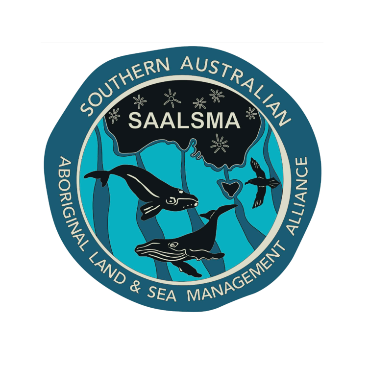 MEDIA STATEMENT caring for Country Together: Introducing SAALSMA