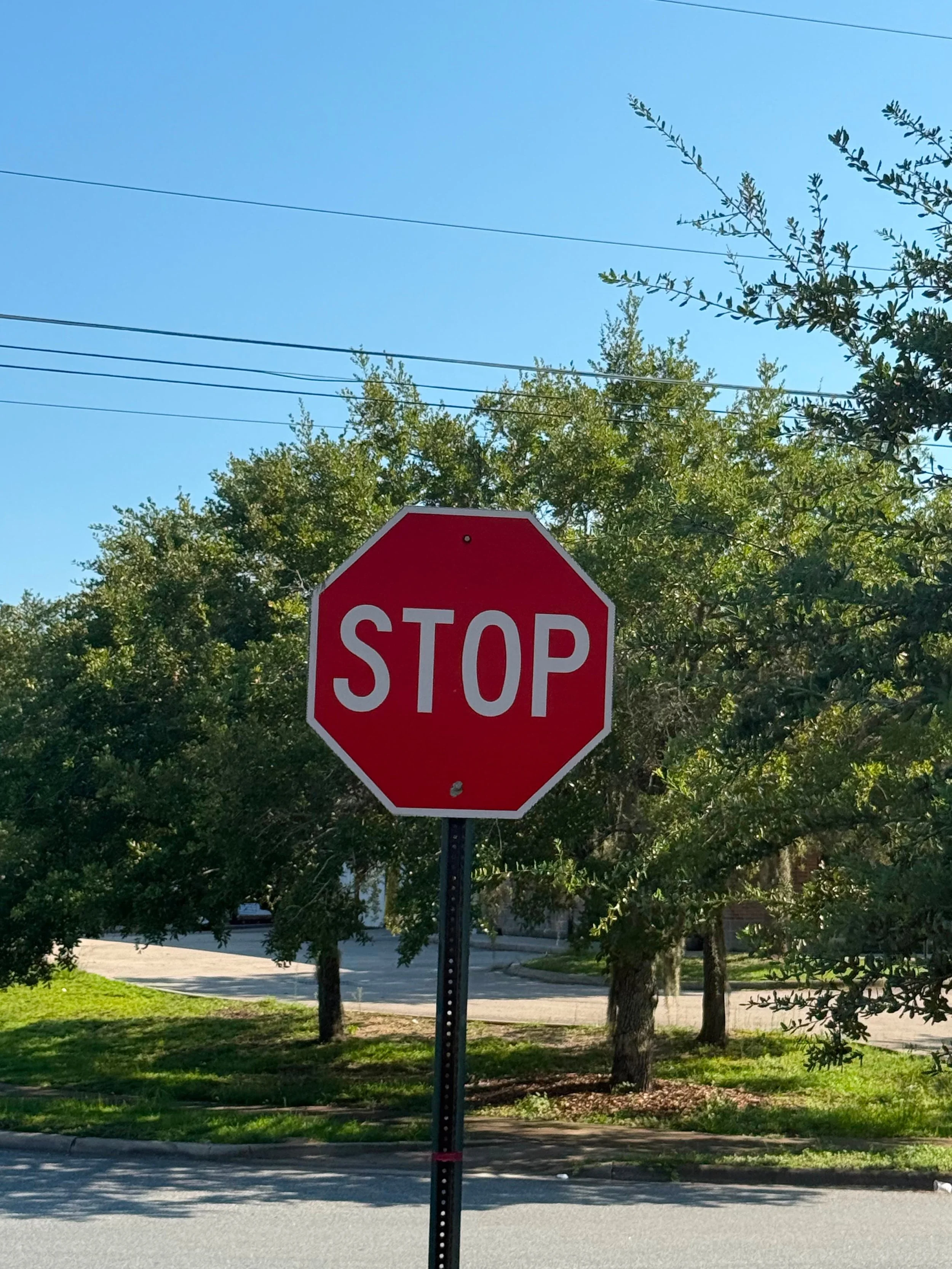 A red stop sign with white lettering is in the foreground, with green trees, power lines, and blue sky in the background.