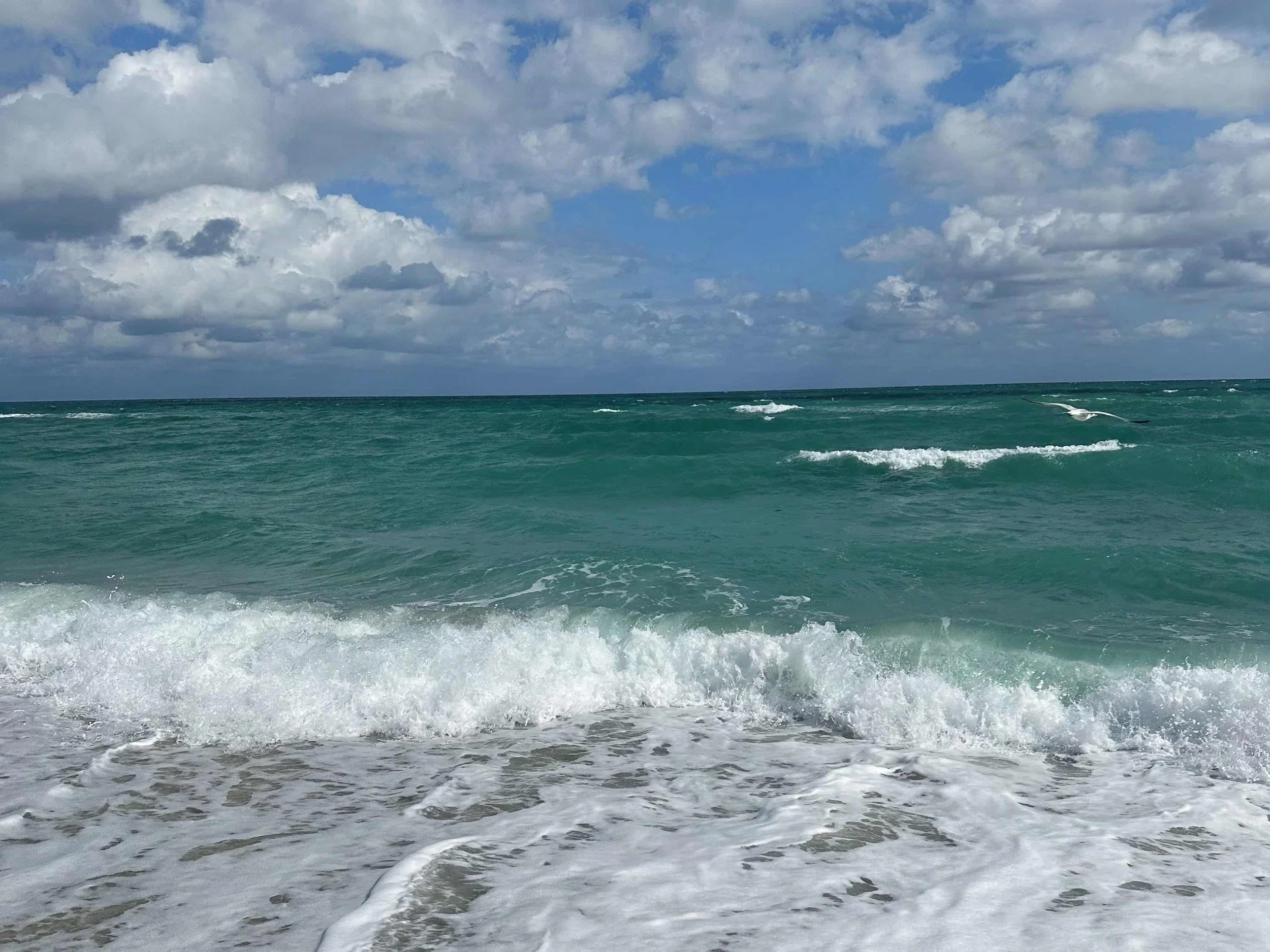 Waterfront in Pompano Beach, Florida, near the Broward Transitional Center (ICE detention facility).