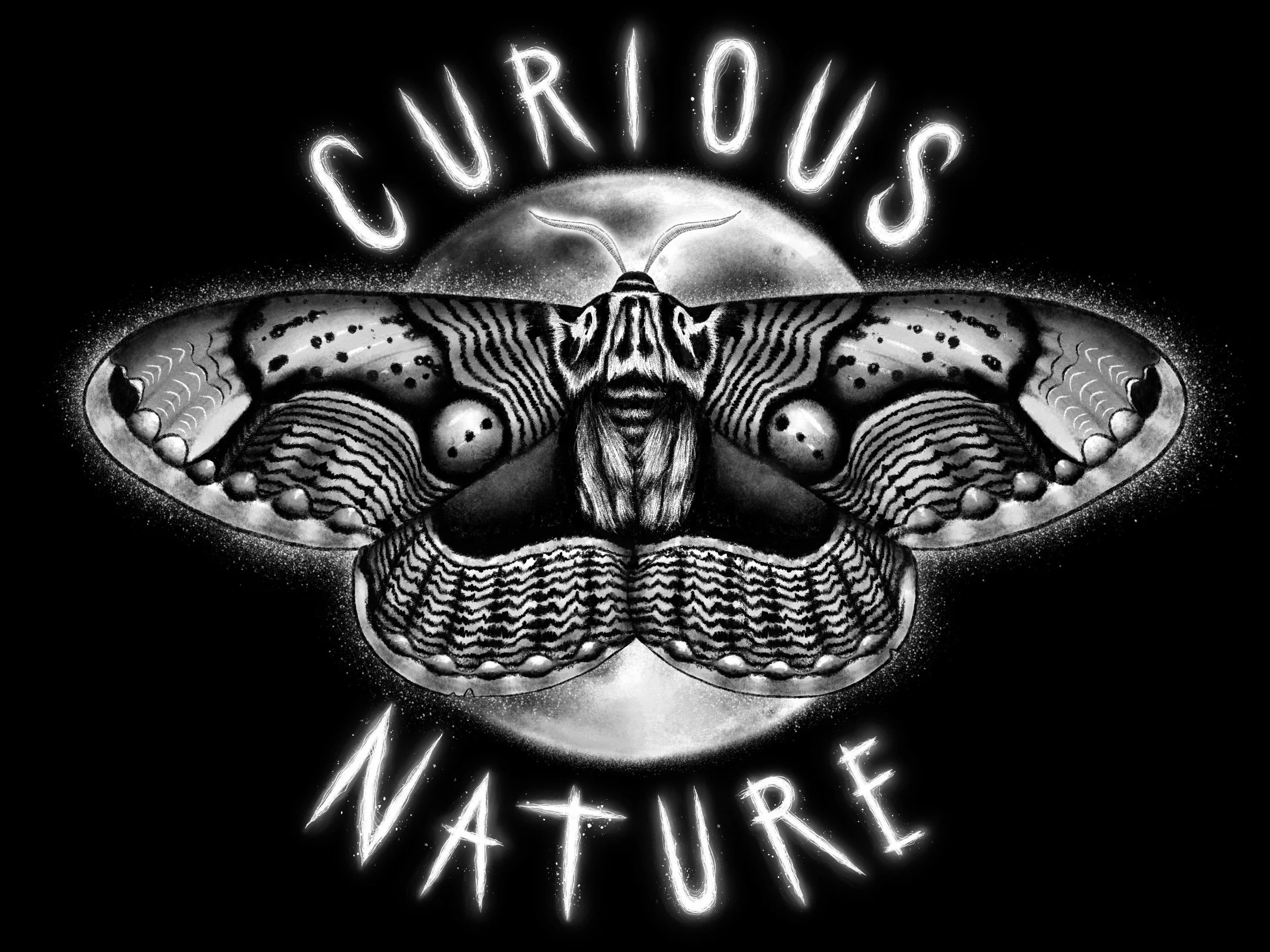 Commissioned design for retail store Curious Nature