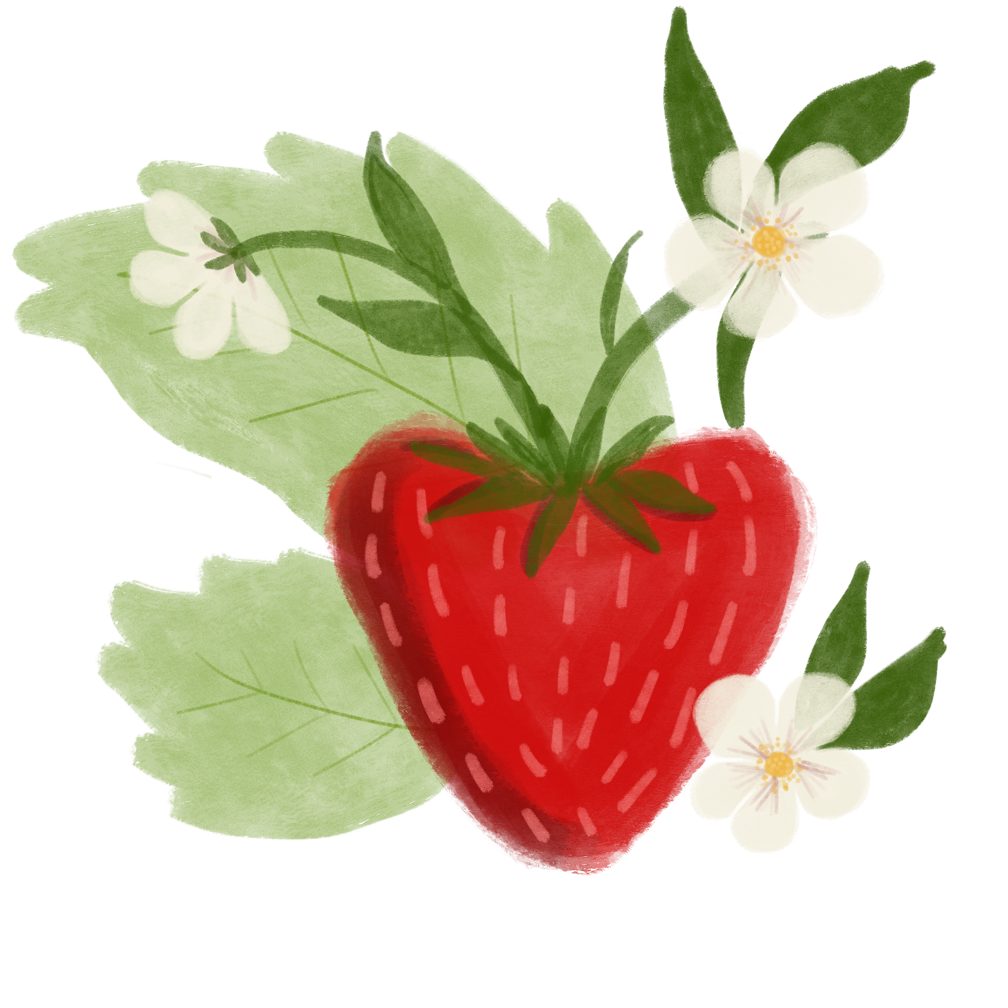 strawberry blossoms