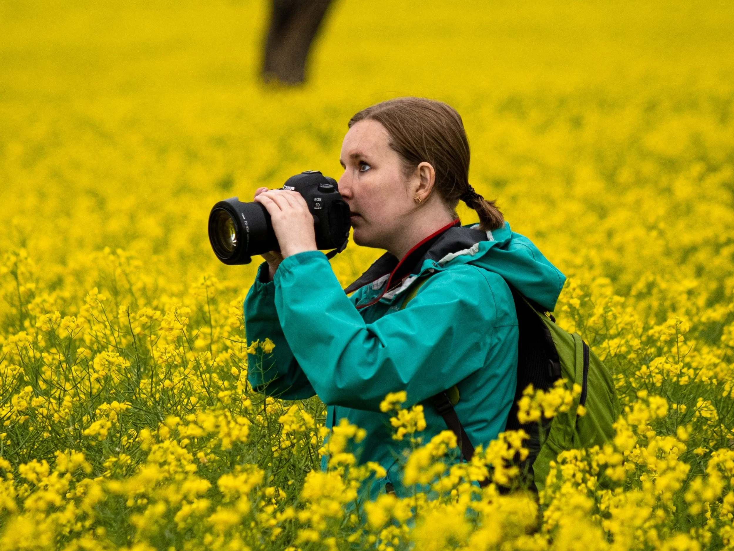Jessica Horner stands side on in a field of yellow canola. Her brown hair is pulled back in a pony tail and she wears a teal raincoat and green backpack. She is holding a professional SLR camera and looking into the distance.