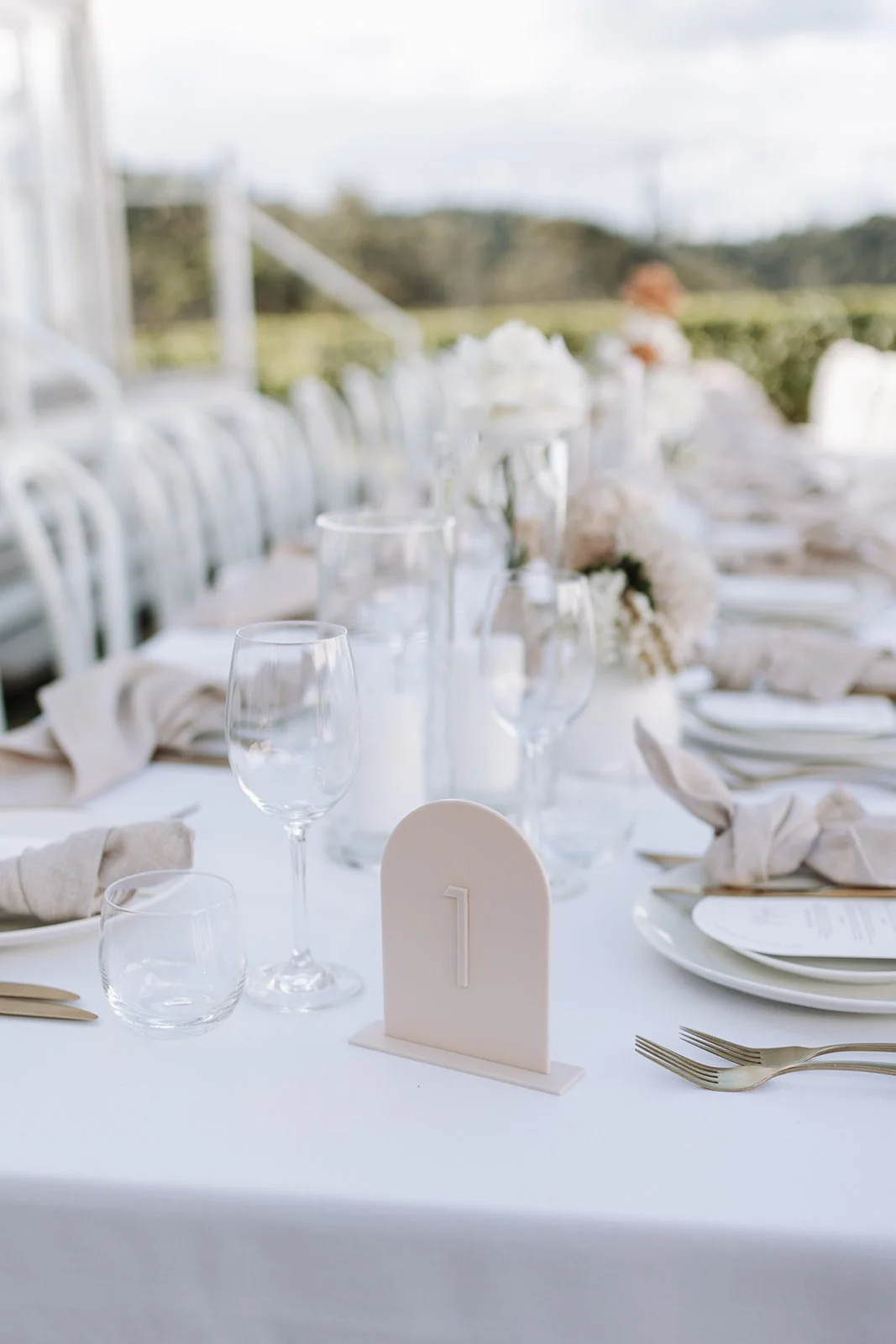 Roya_Haydn_Reception-2_websize.jpg