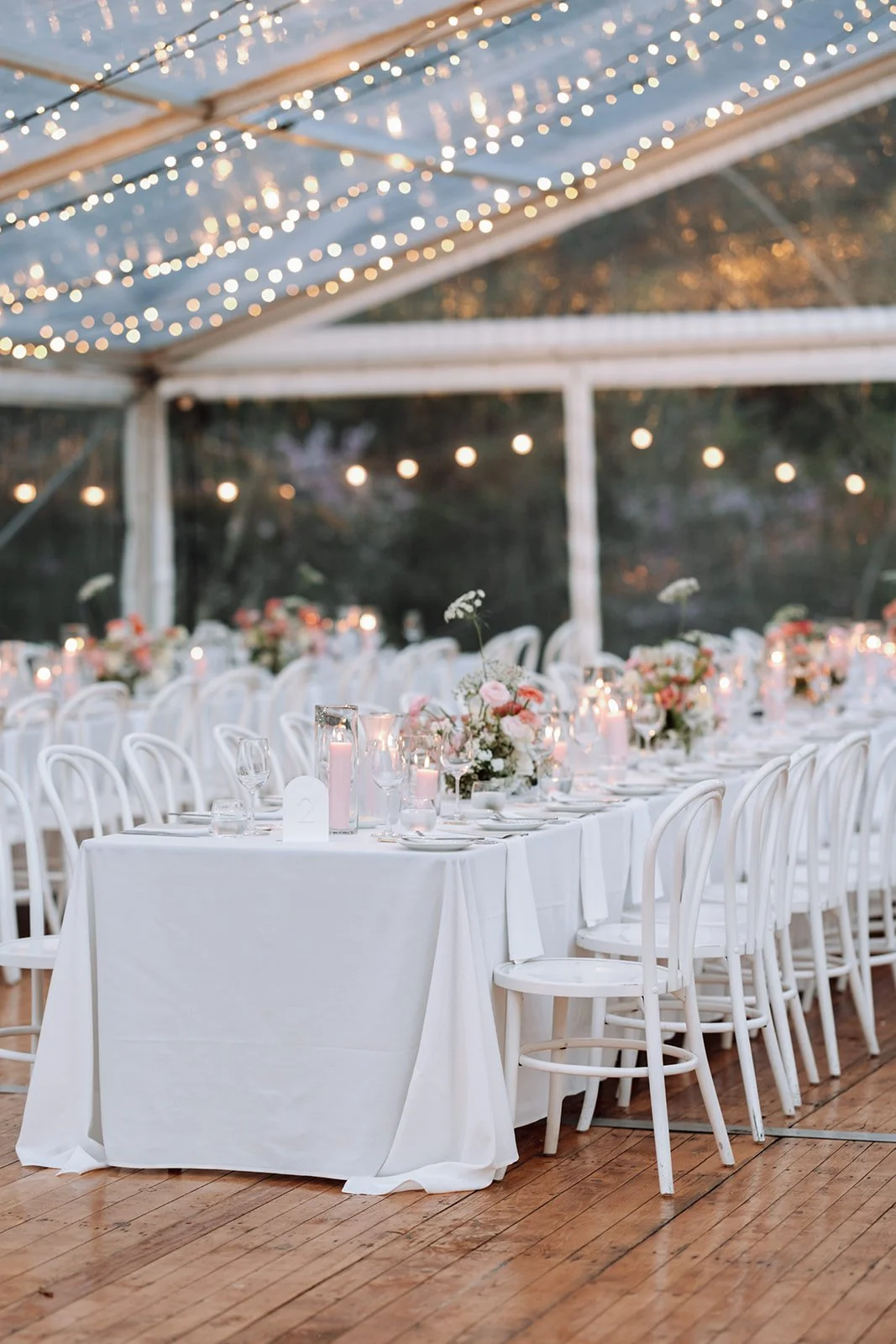 Alana_Jack_Reception-11_websize.jpg