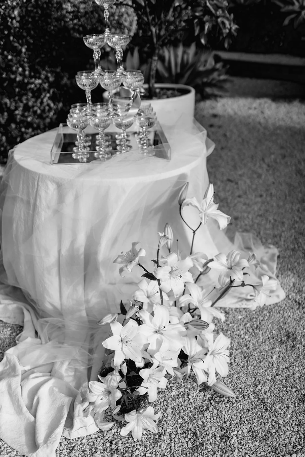 Byron_Bay_Wedding_Fair_2023-347-figtree-restaurant(1).jpg