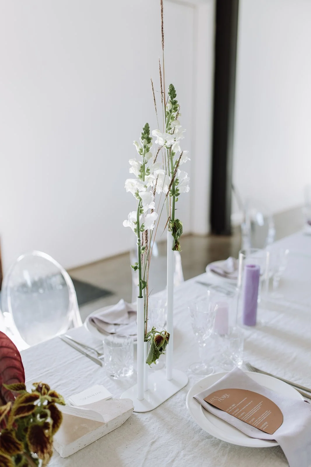 Byron_Bay_Wedding-orchard-estate-55.jpg