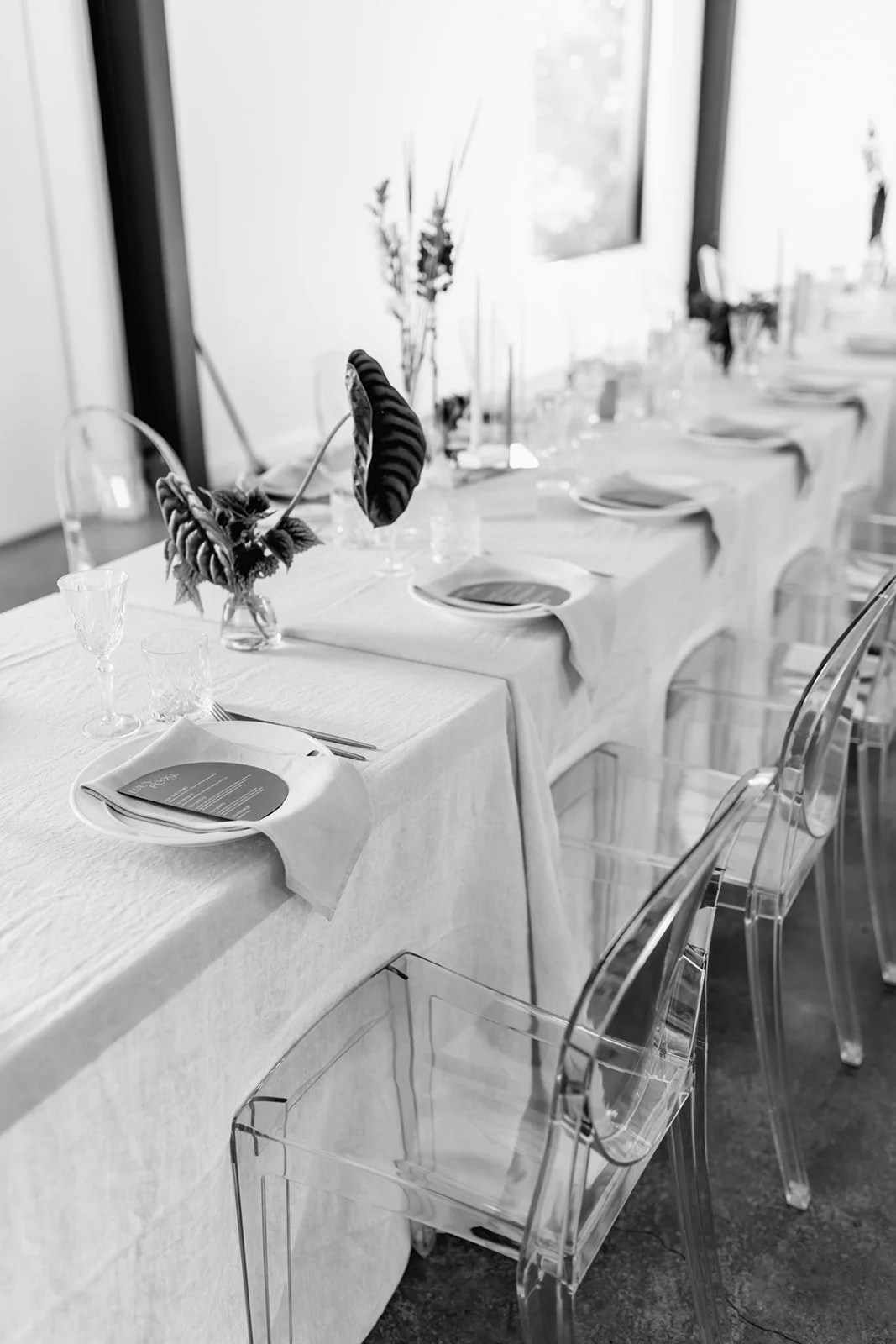 Byron_Bay_Wedding-orchard-estate-57.jpg